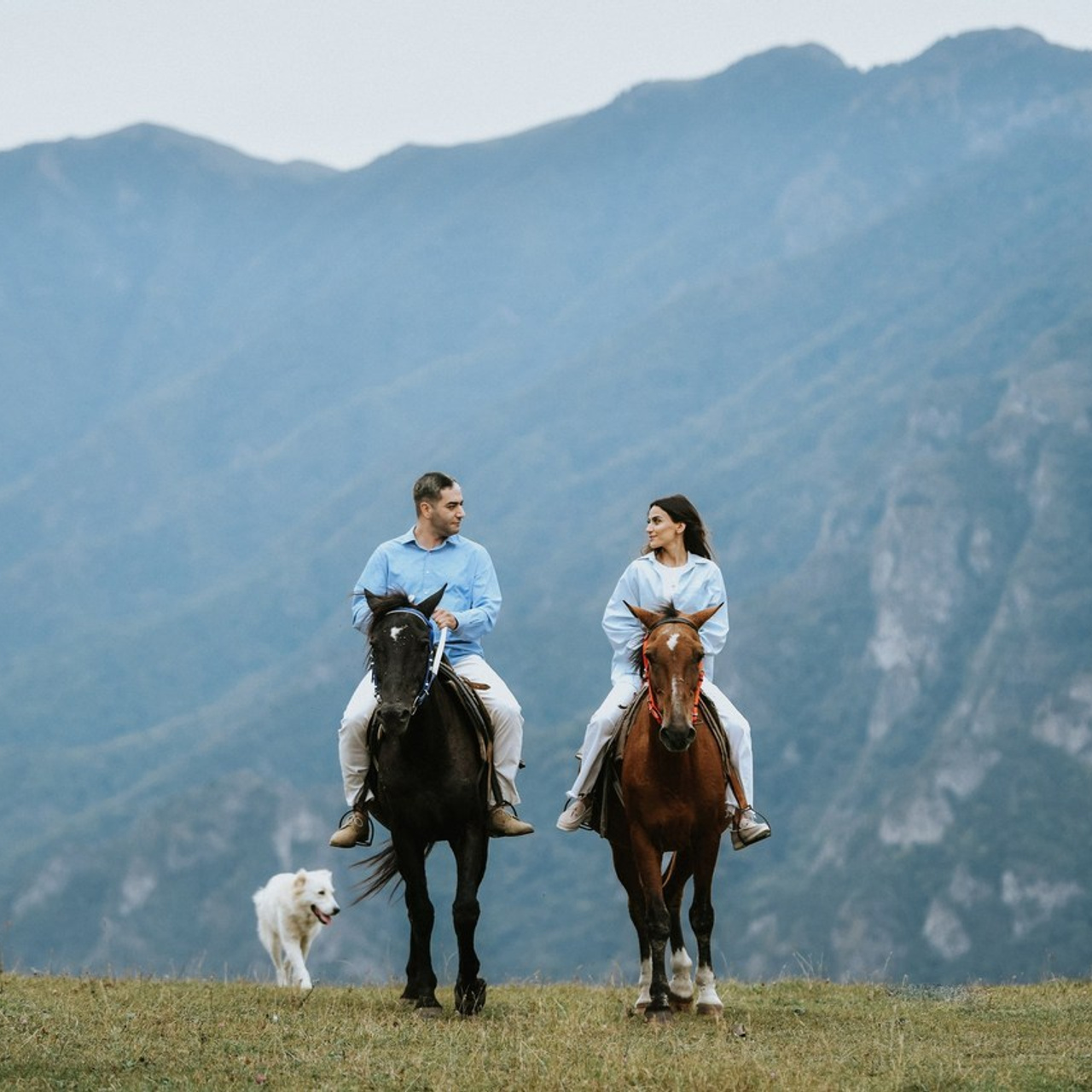 Отзывы. Wedding photos and video shooting in Armenia and all over the world!!! Photographer in Yerevan