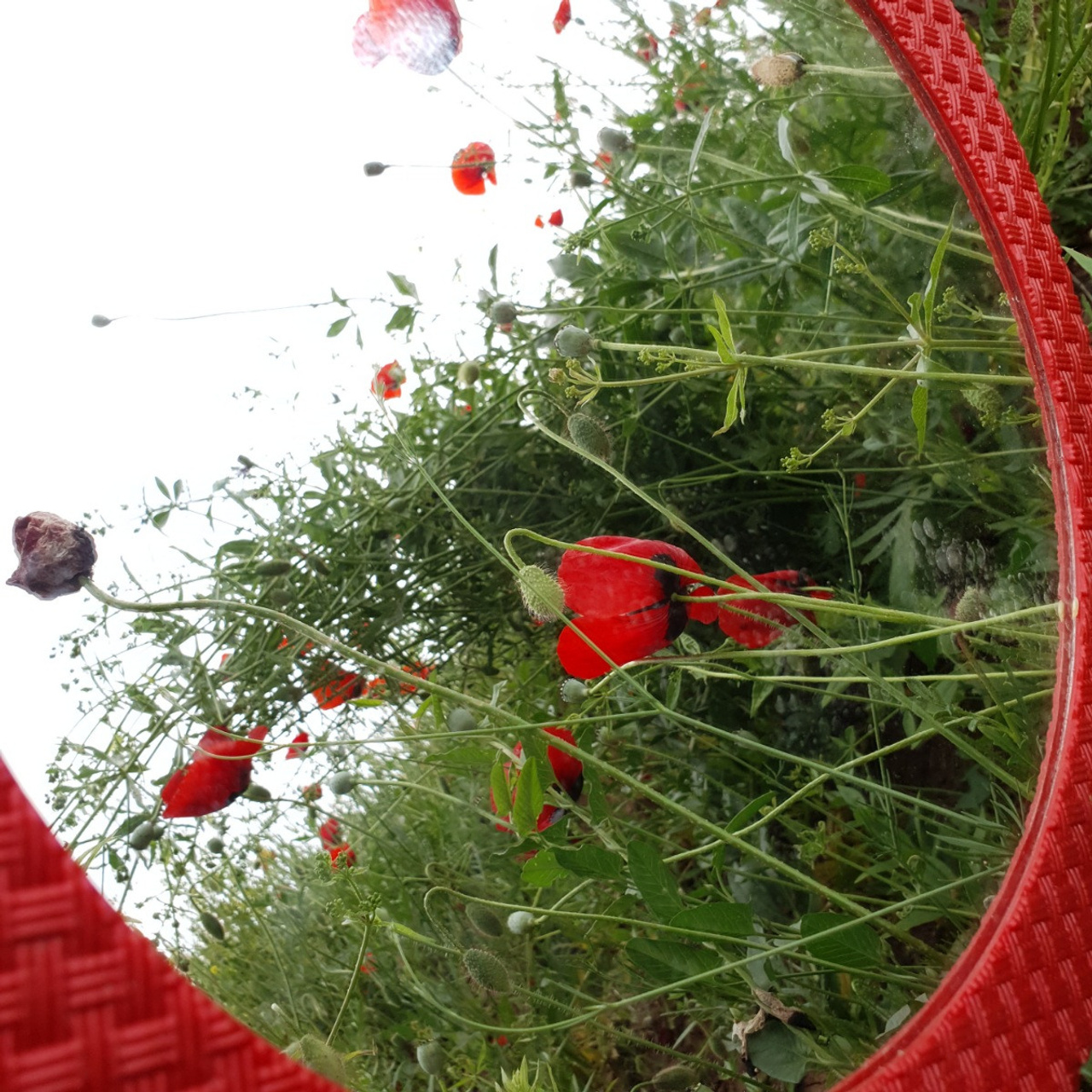 Street фото. Consultation on printing in various magazines, illustrations for books