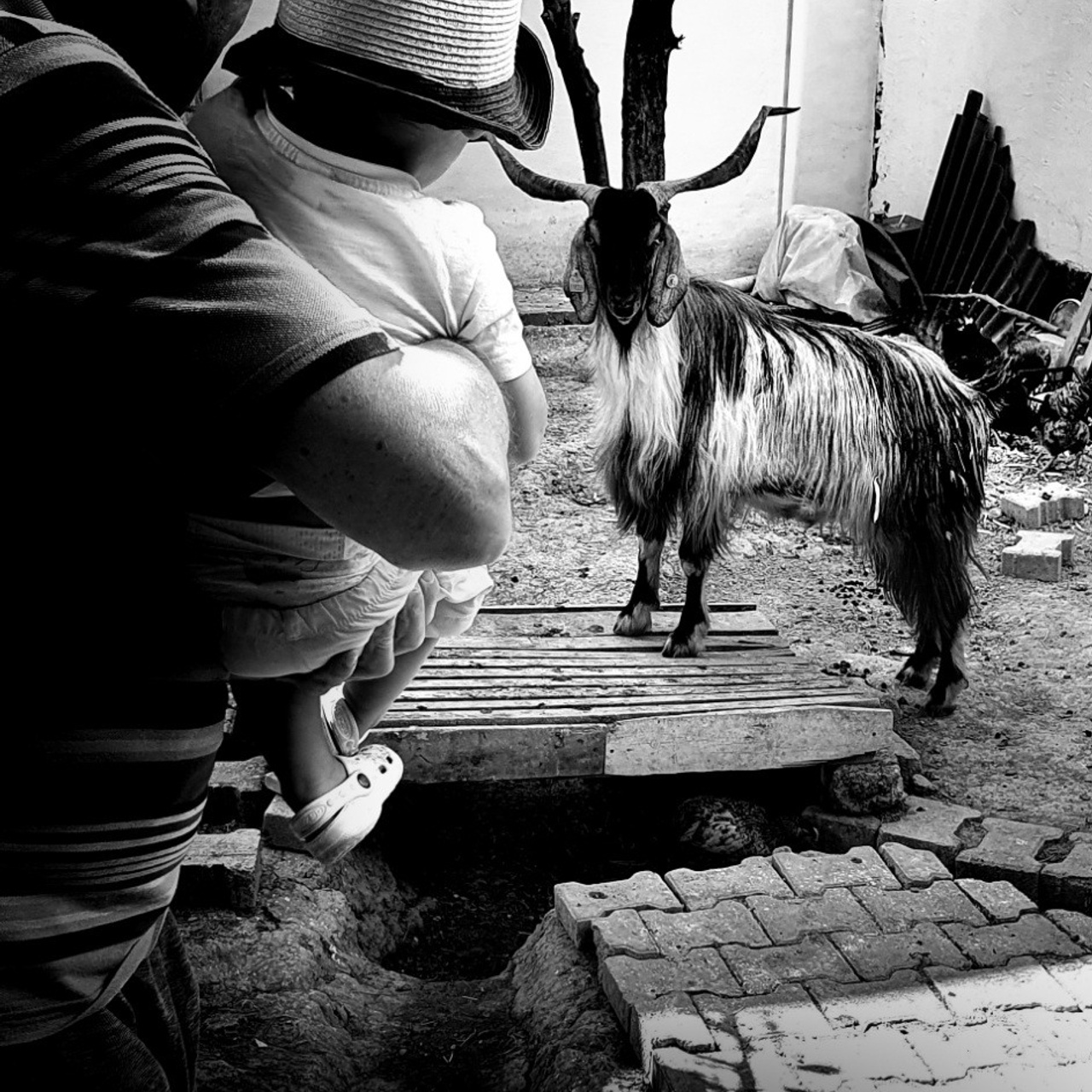 Street фото. Consultation on printing in various magazines, illustrations for books