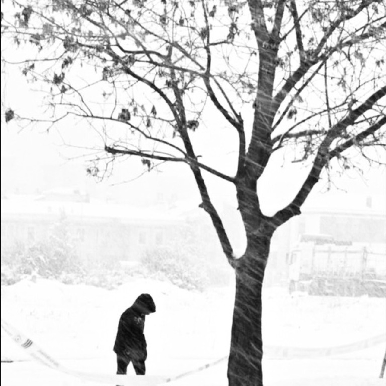 Street фото. Consultation on printing in various magazines, illustrations for books