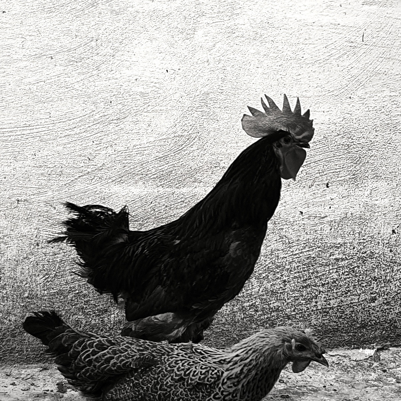 Street фото. Consultation on printing in various magazines, illustrations for books