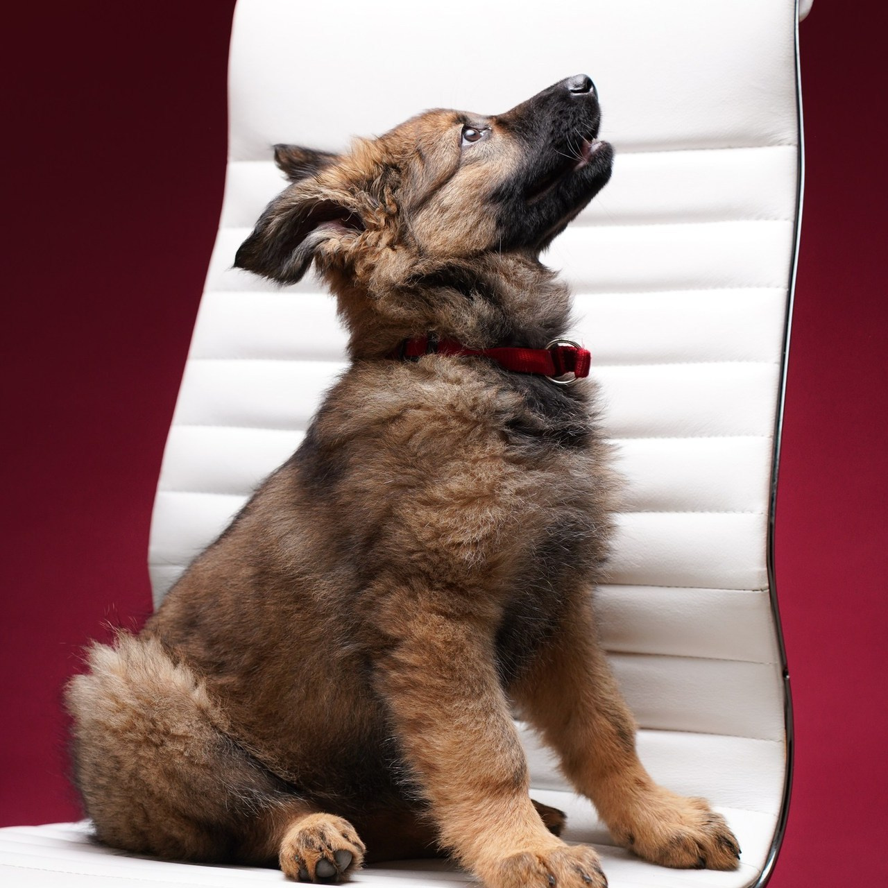 Reviews. Photographer Marina, city of Nuremberg