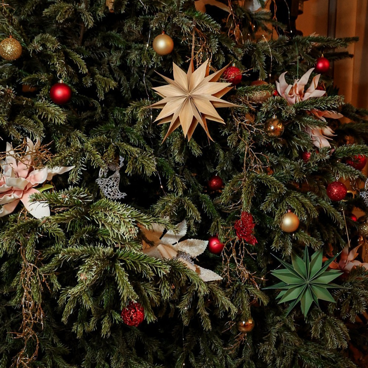 Reviews. Photographer Marina, city of Nuremberg