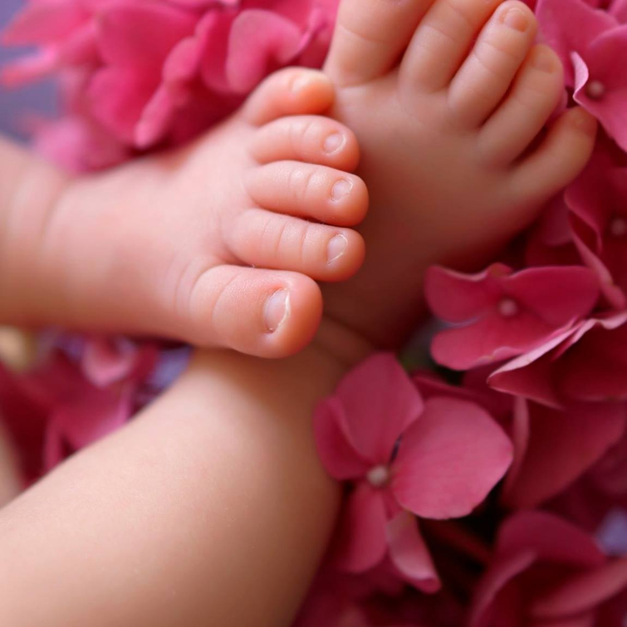 Newborn studio. Bébé Newborn Photographer in Copenhagen
