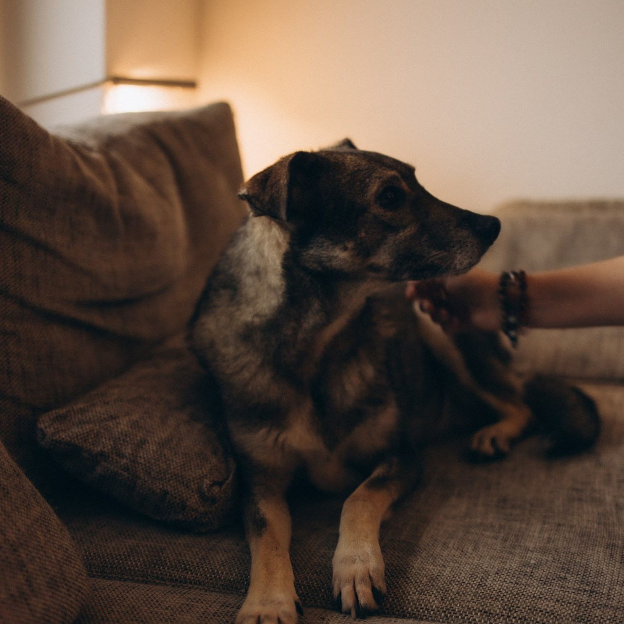 Témoignages. Je suis Olga, votre photographe de famille à Metz et dans toute la France