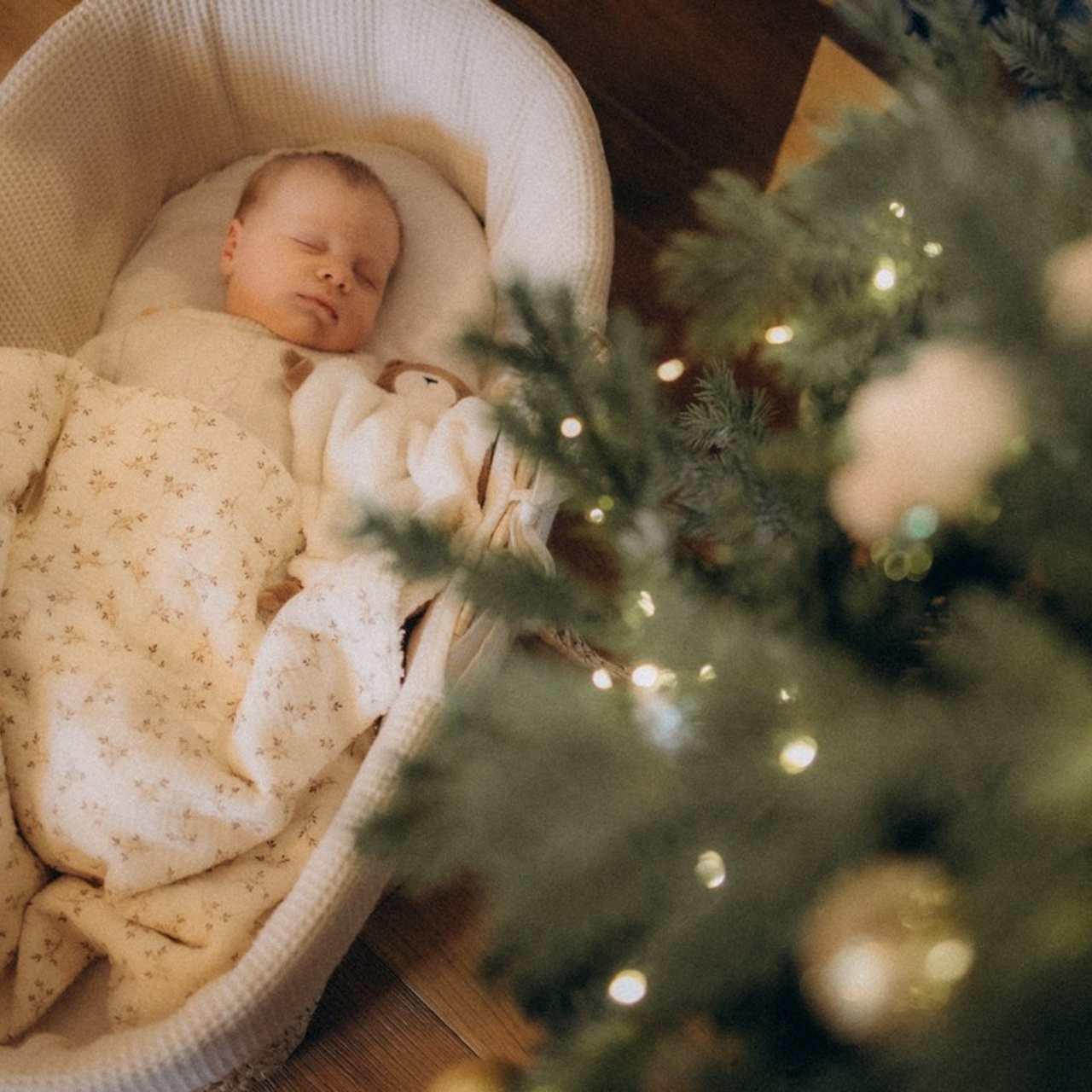 Témoignages. Je suis Olga, votre photographe de famille à Metz et dans toute la France