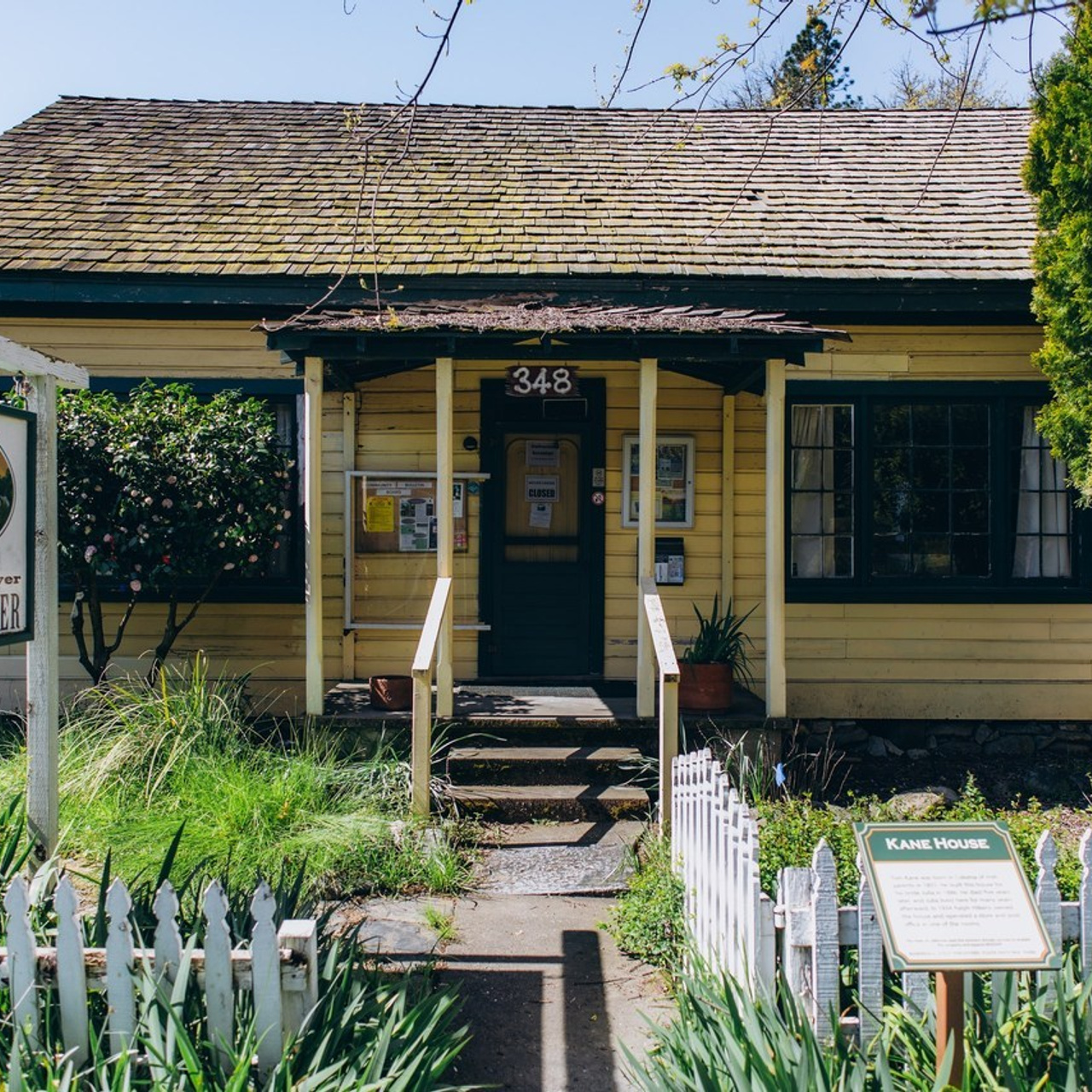 Client Reviews – NYC Photo Sessions. Sasha Amelie — Lifestyle Photographer NYC