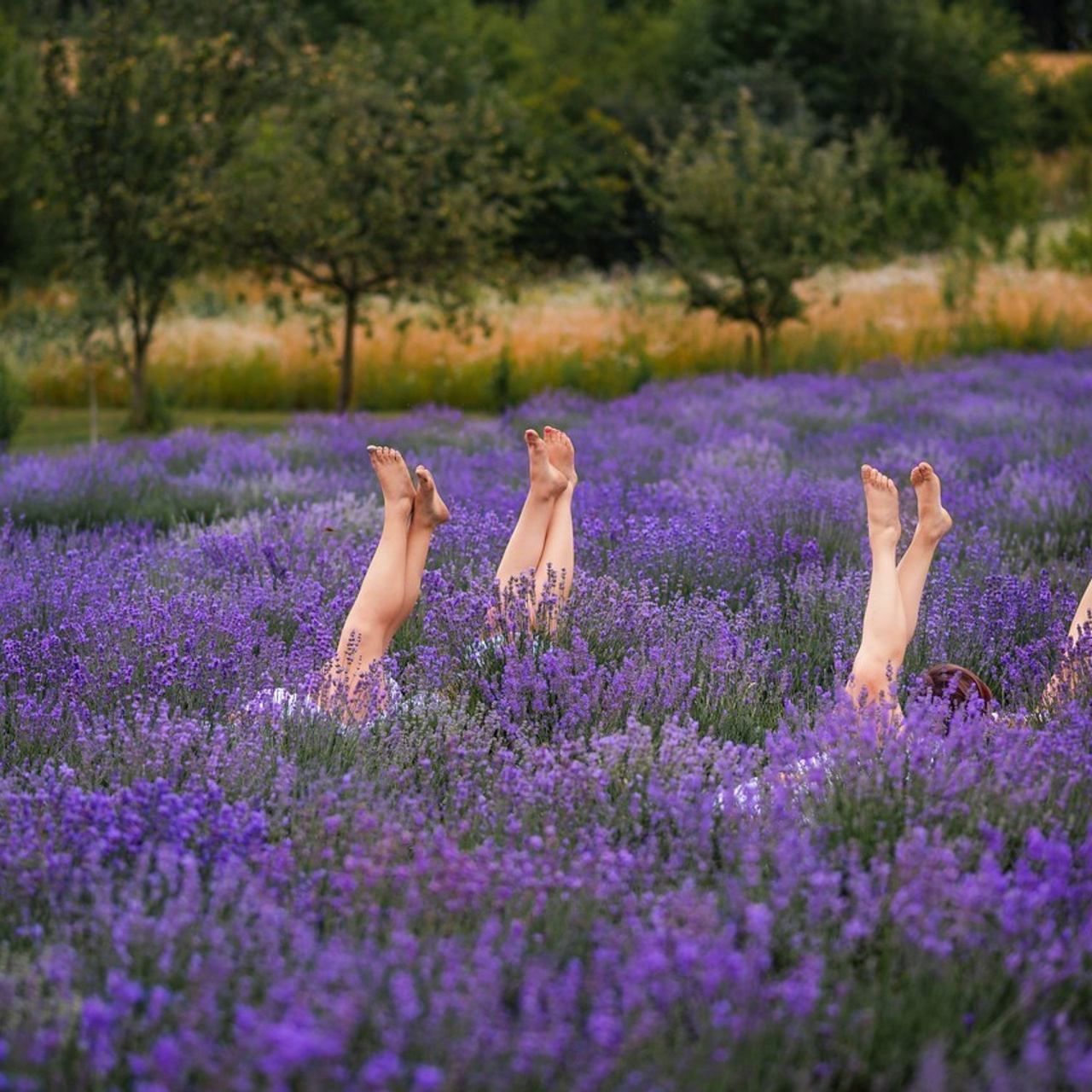 Відгуки. Весільний та портретний фотограф Кизим Арсен
