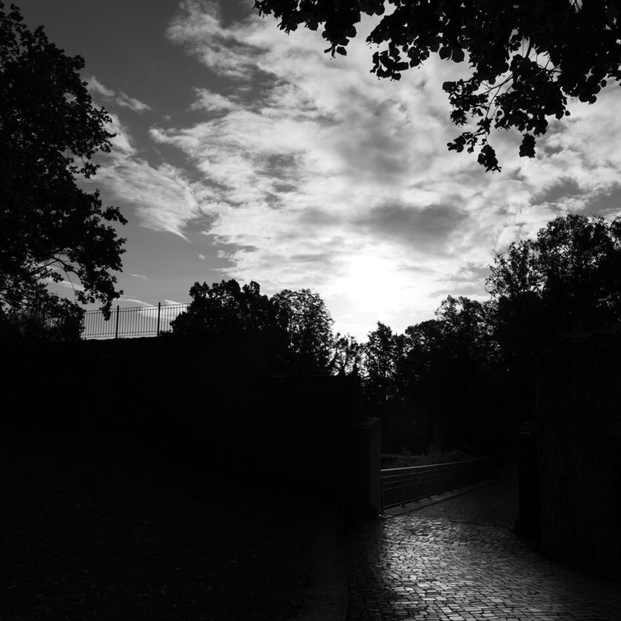 Hochzeitsfotografin in Gütersloh | Authentische Hochzeitsreportagen | TK Photographie