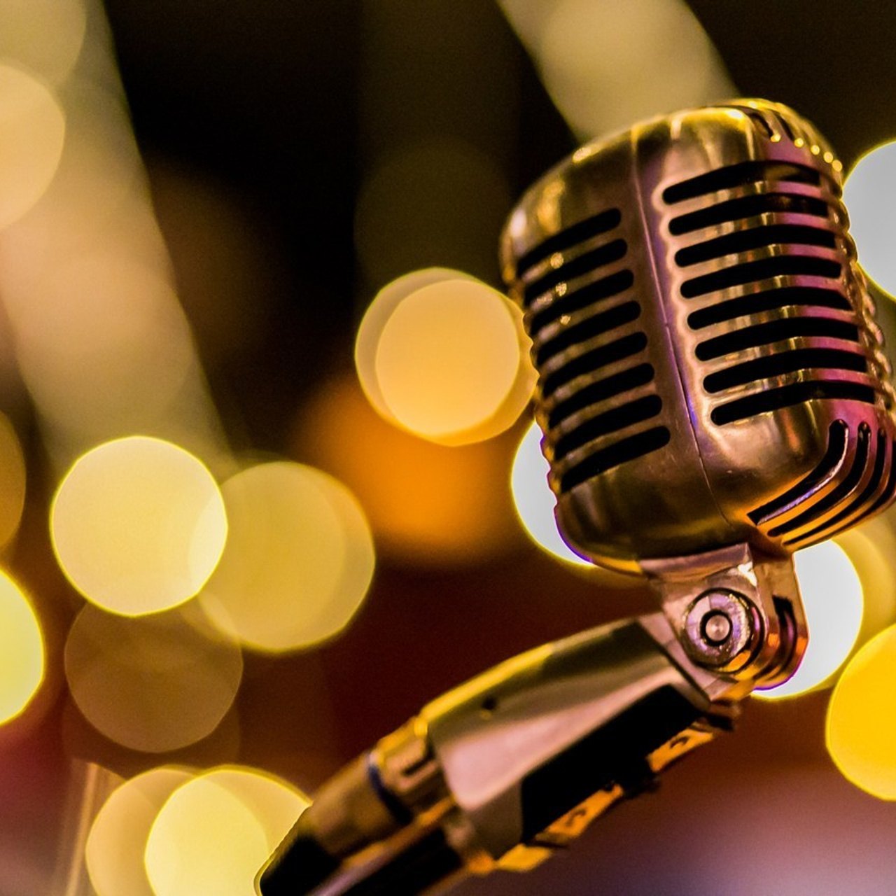 O que dizem. Casal Panda Fotos