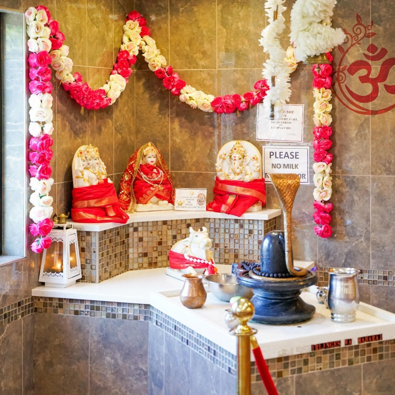 Reviews. Stefanovich Photography | Boston, MA