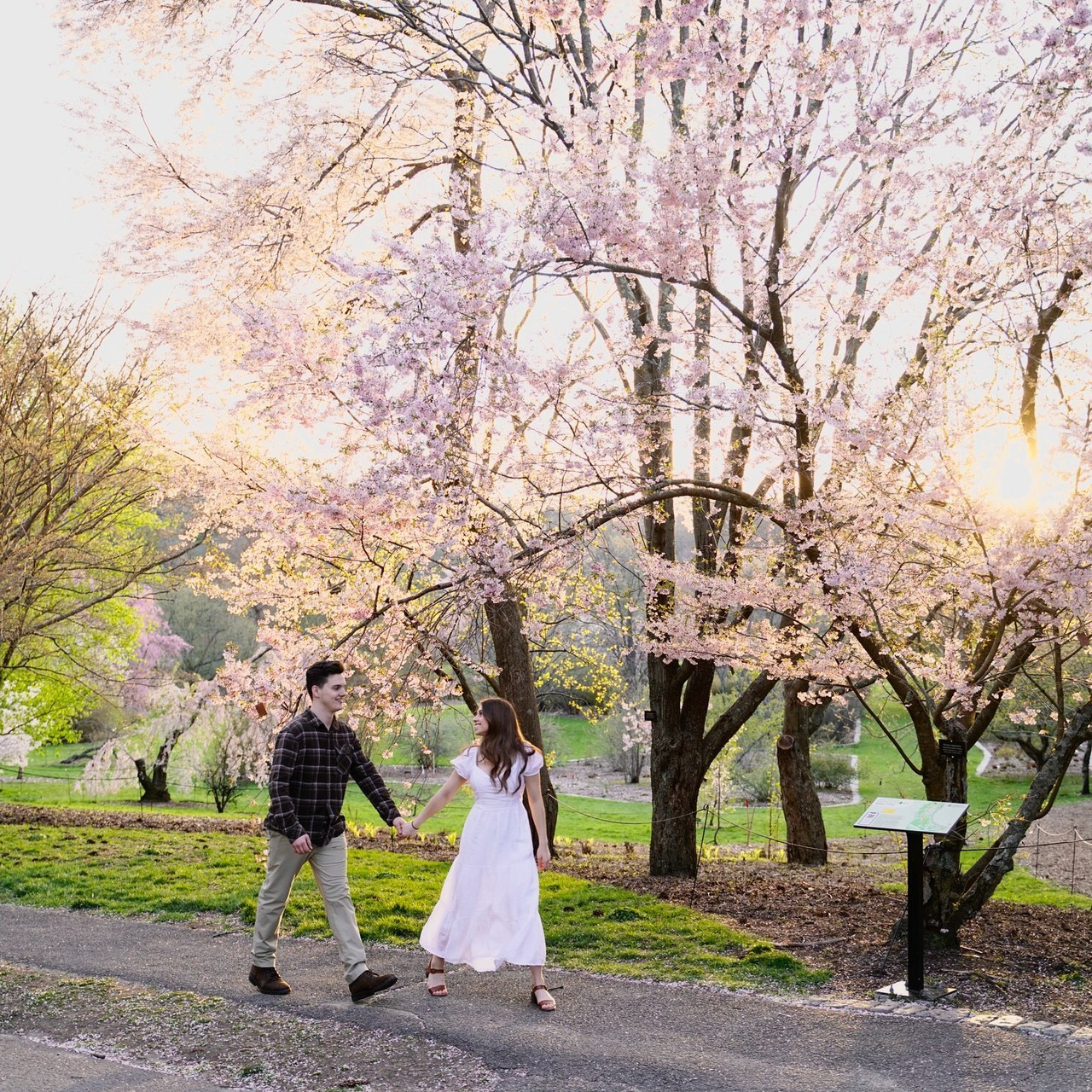 Reviews. Stefanovich Photography | Boston, MA