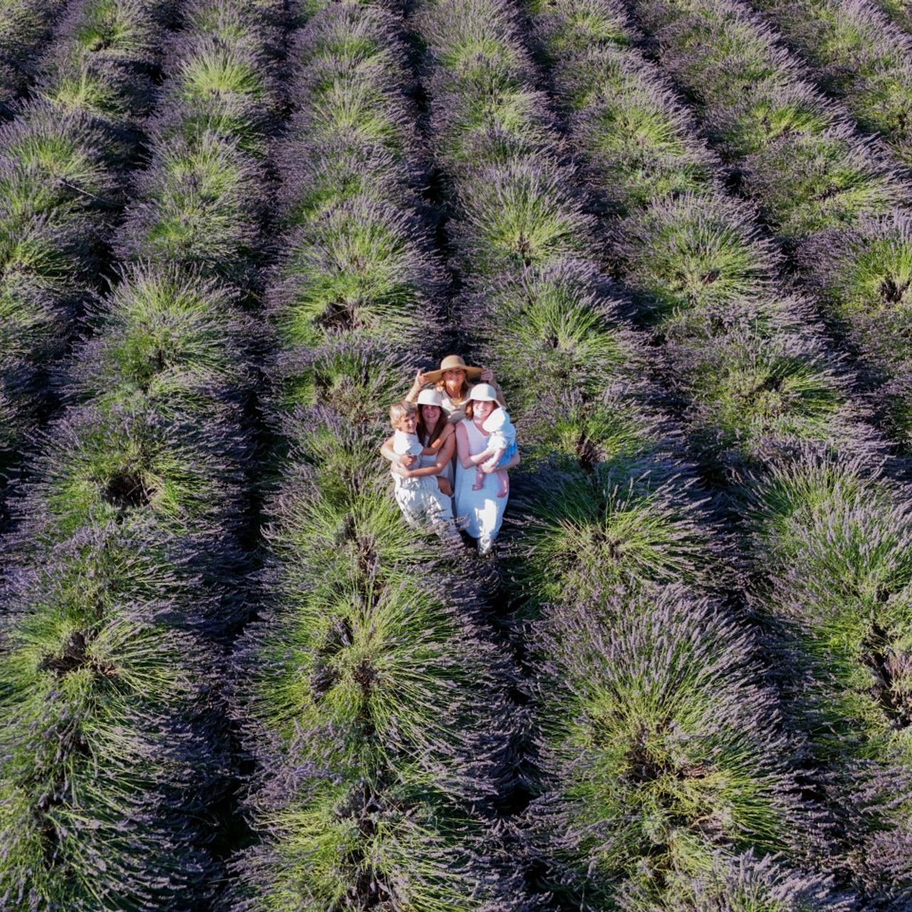 Comments. Photographer, Videomaker, Drone, Padova, Venice, Italy, Elena Radchenko