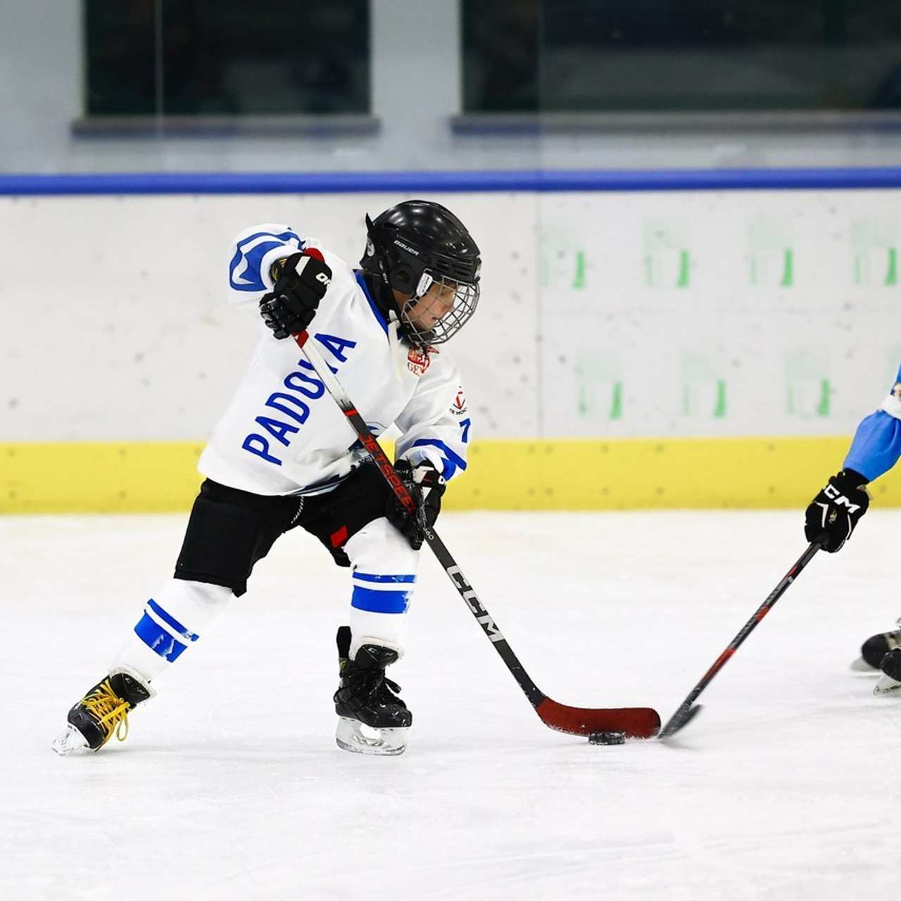 Comments. Photographer, Videomaker, Drone, Padova, Venice, Italy, Elena Radchenko