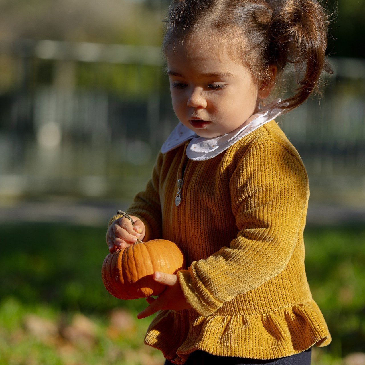 Comments. Photographer, Videomaker, Drone, Padova, Venice, Italy, Elena Radchenko