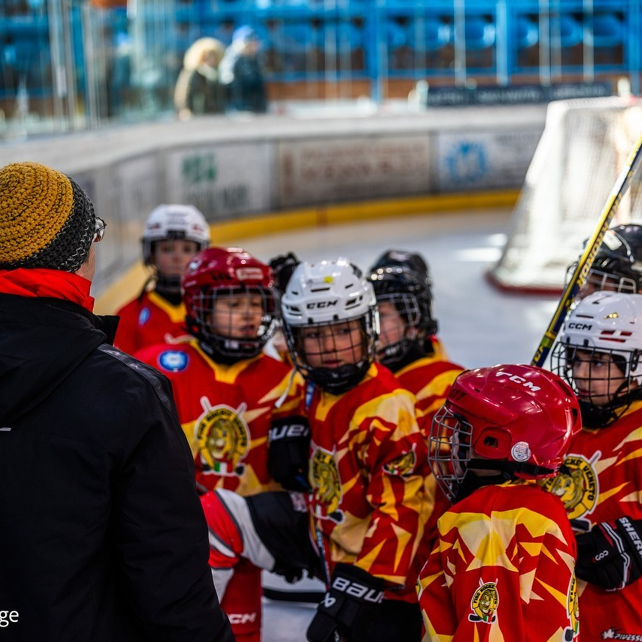 Comments. Photographer, Videomaker, Drone, Padova, Venice, Italy, Elena Radchenko