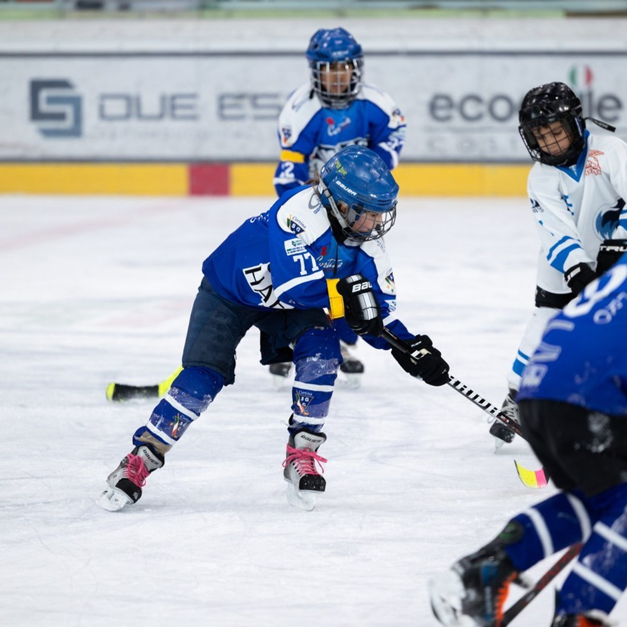 Comments. Photographer, Videomaker, Drone, Padova, Venice, Italy, Elena Radchenko