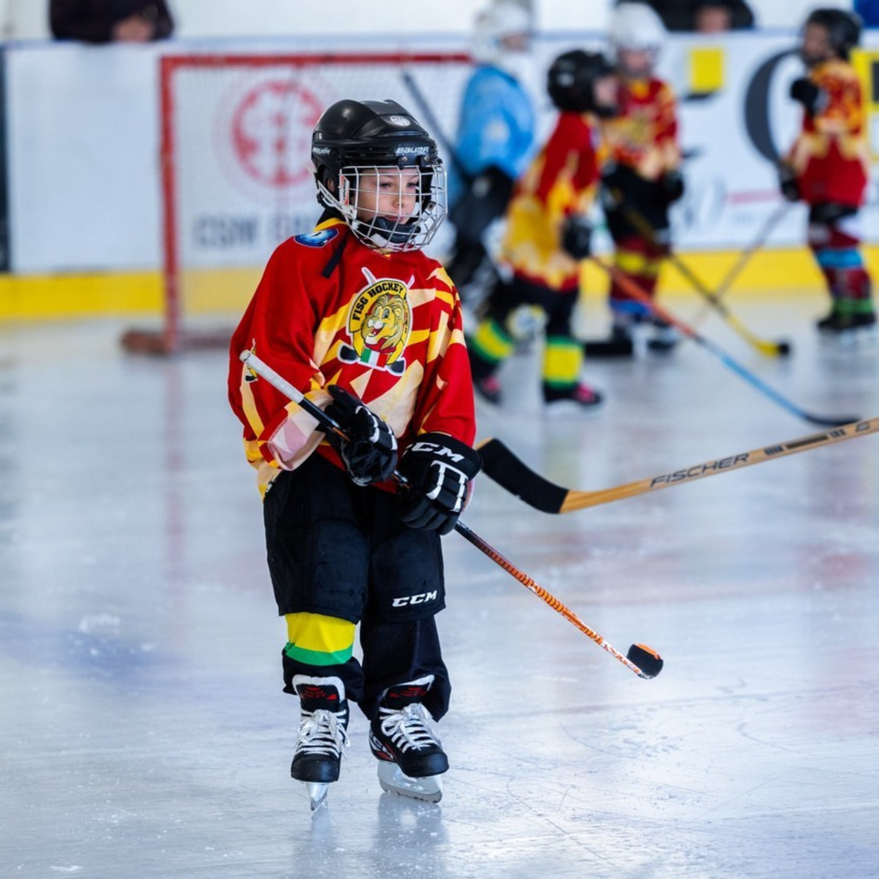 Comments. Photographer, Videomaker, Drone, Padova, Venice, Italy, Elena Radchenko