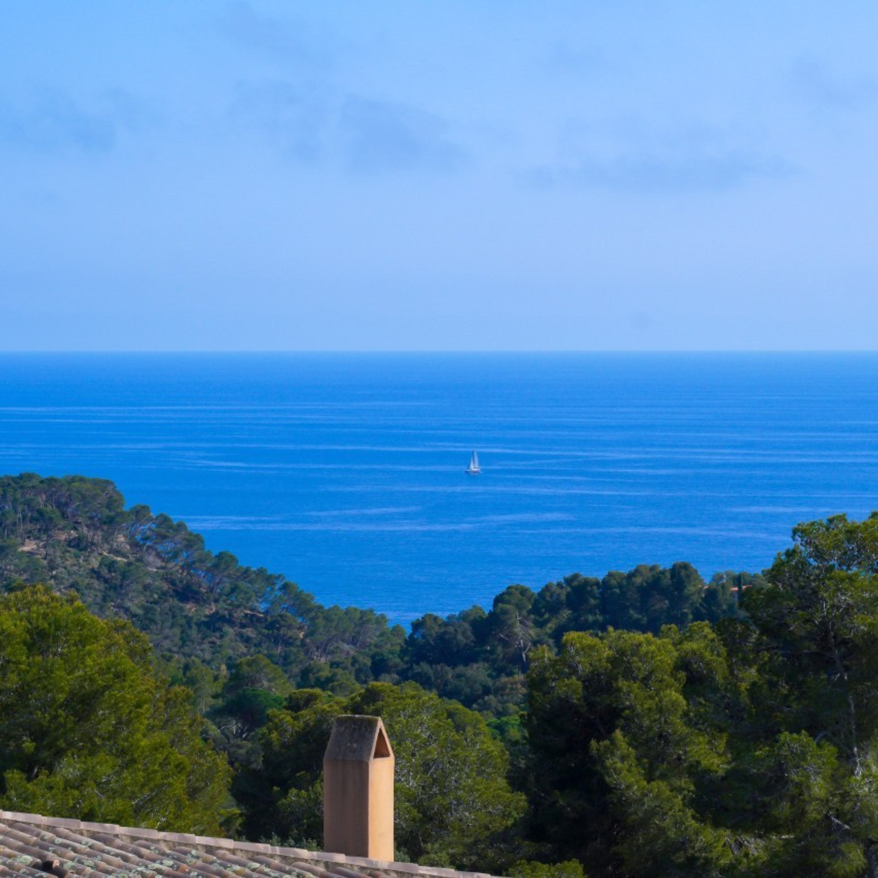 Отзывы. Видеограф в Люксембурге Вета Власова