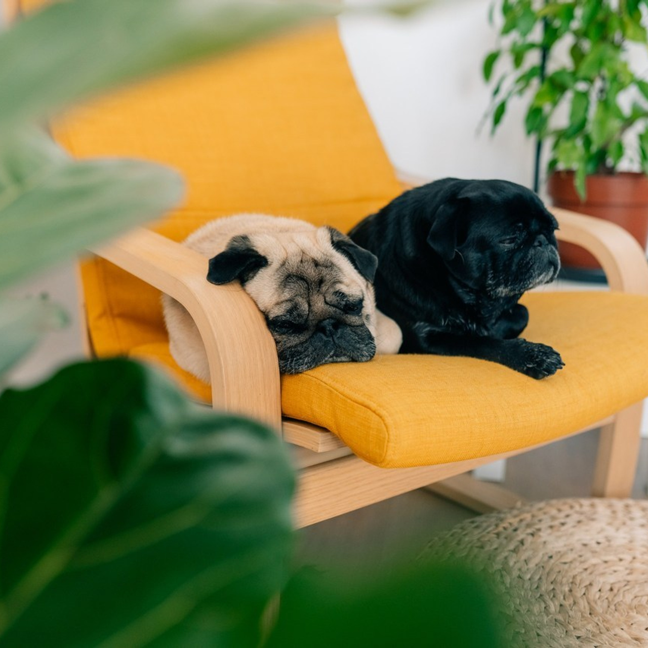 Feedback. Maria Sher. Professional photographer from Porto, Portugal