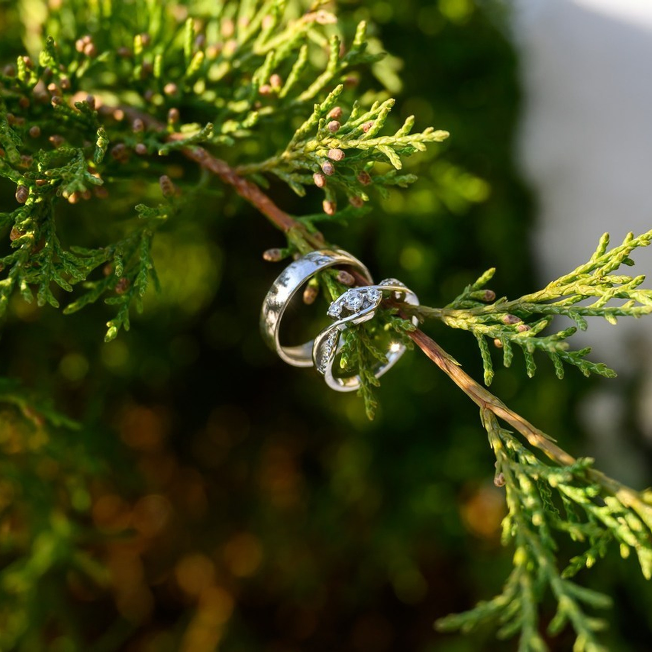 Testimonials. Ritvars Pujats Emotion Photographer