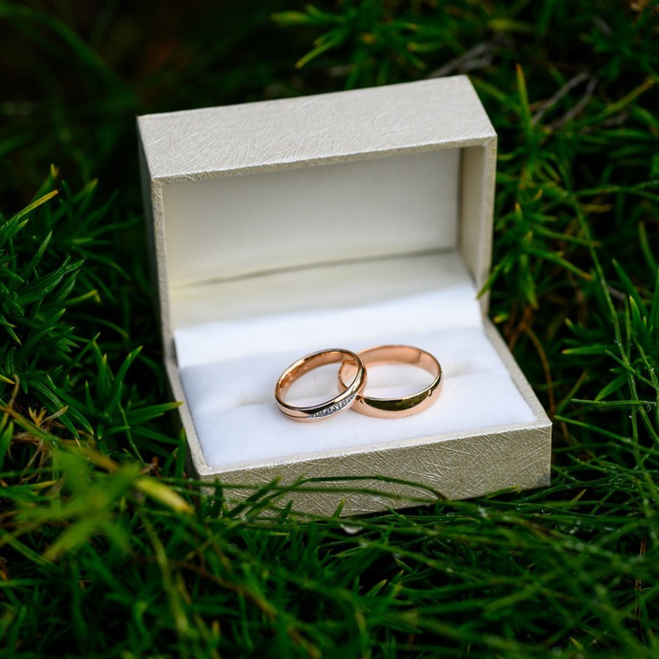 Testimonials. Ritvars Pujats Emotion Photographer