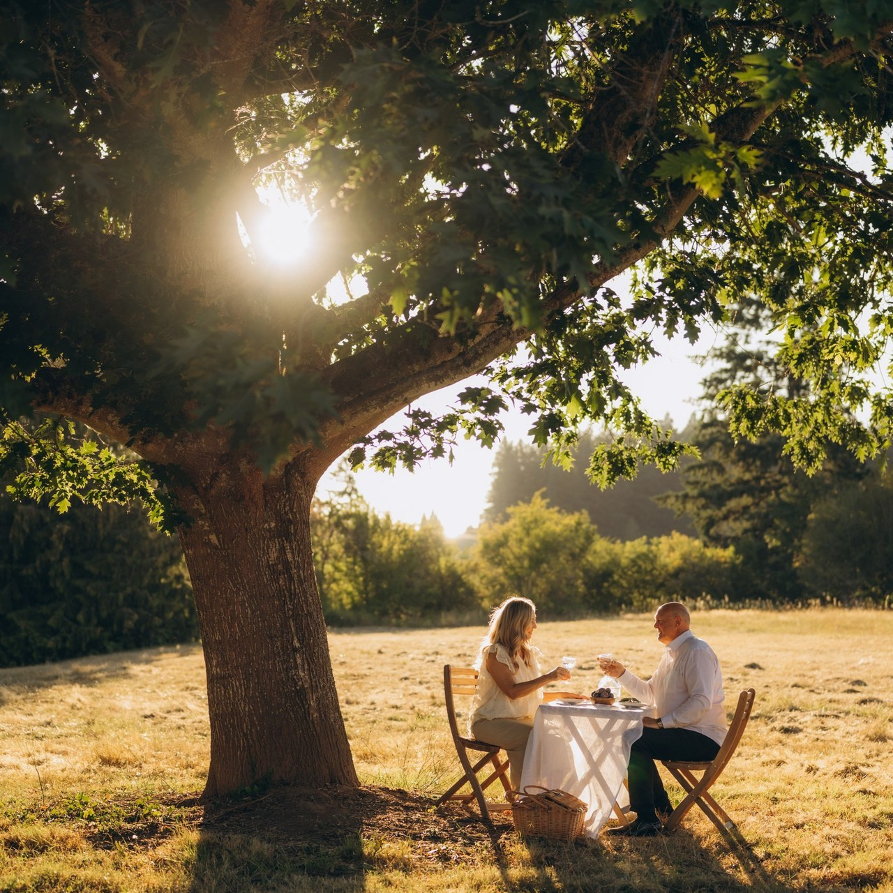 Reviews. Photographer