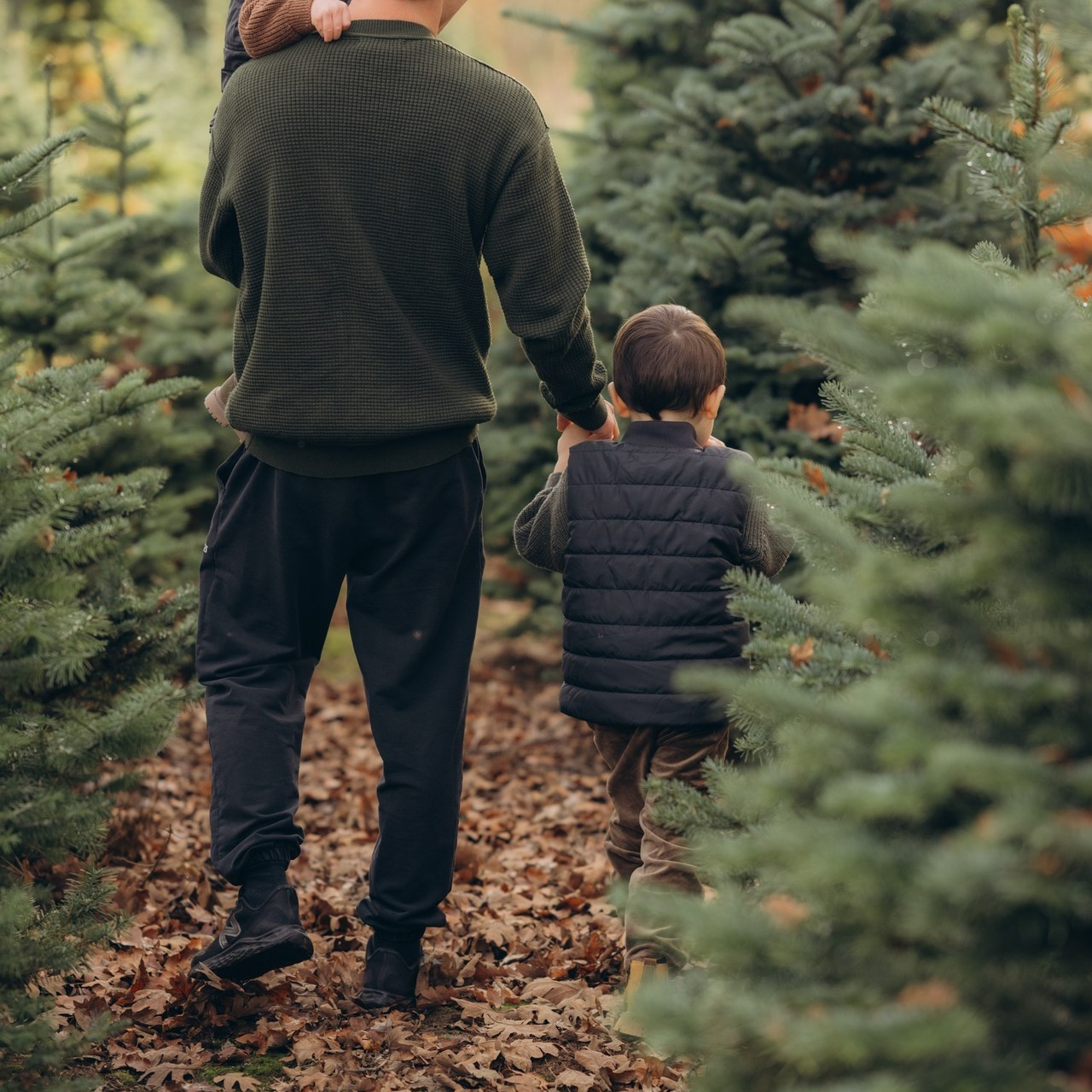 Reviews. Photographer