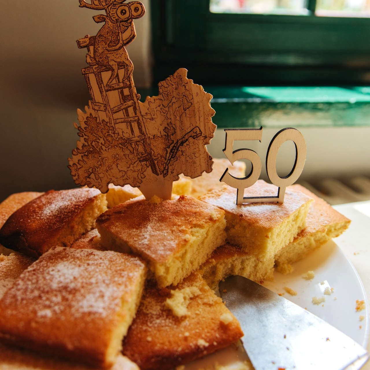 MEINUNG. Familien- und Hochzeitsfotografin. Ich arbeite in Koblenz und Rheinlan