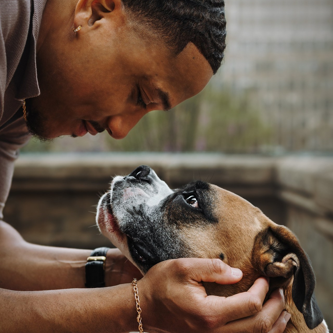 Testimonials. Pet Photographer Viktoriya Aleshenko