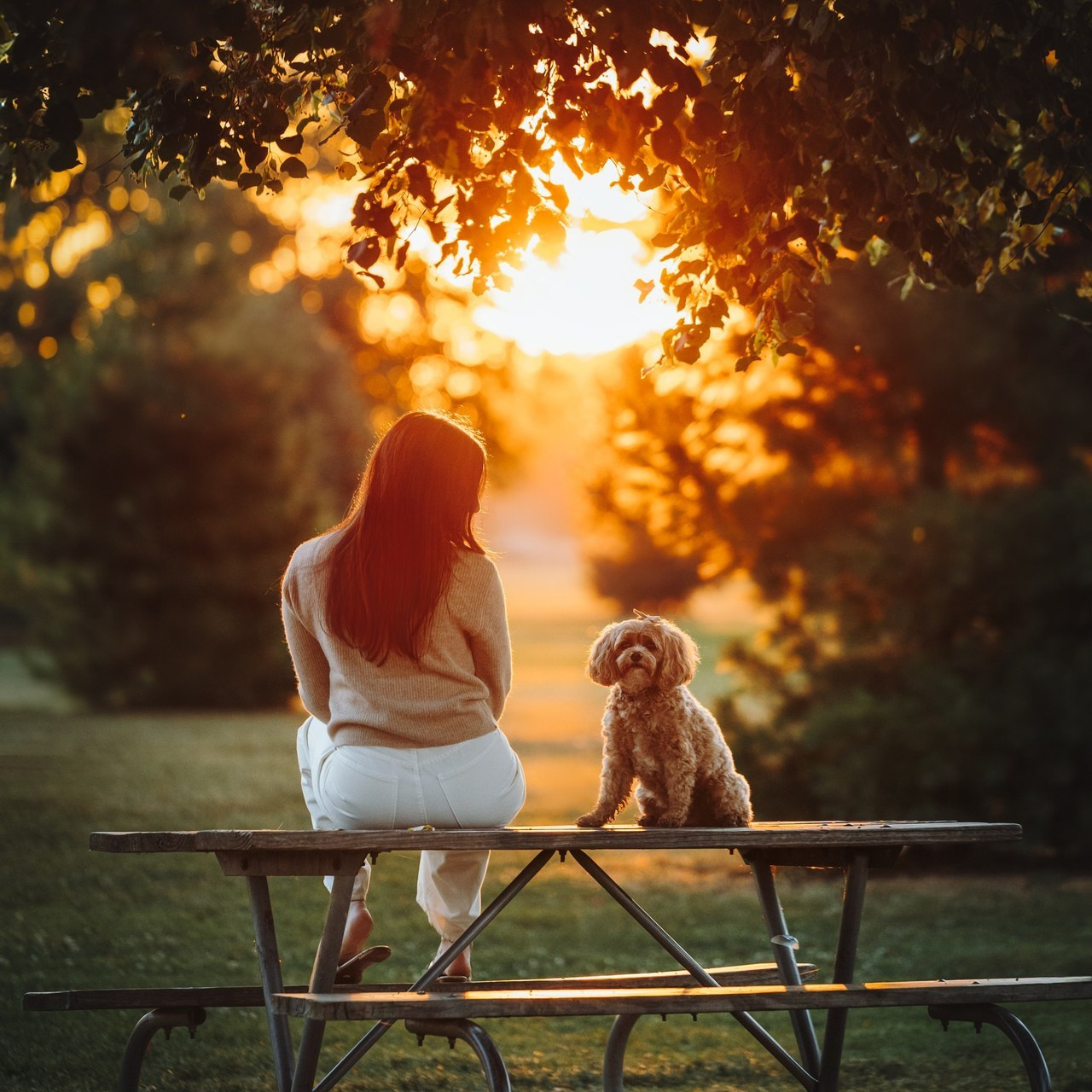 Testimonials. Pet Photographer Viktoriya Aleshenko