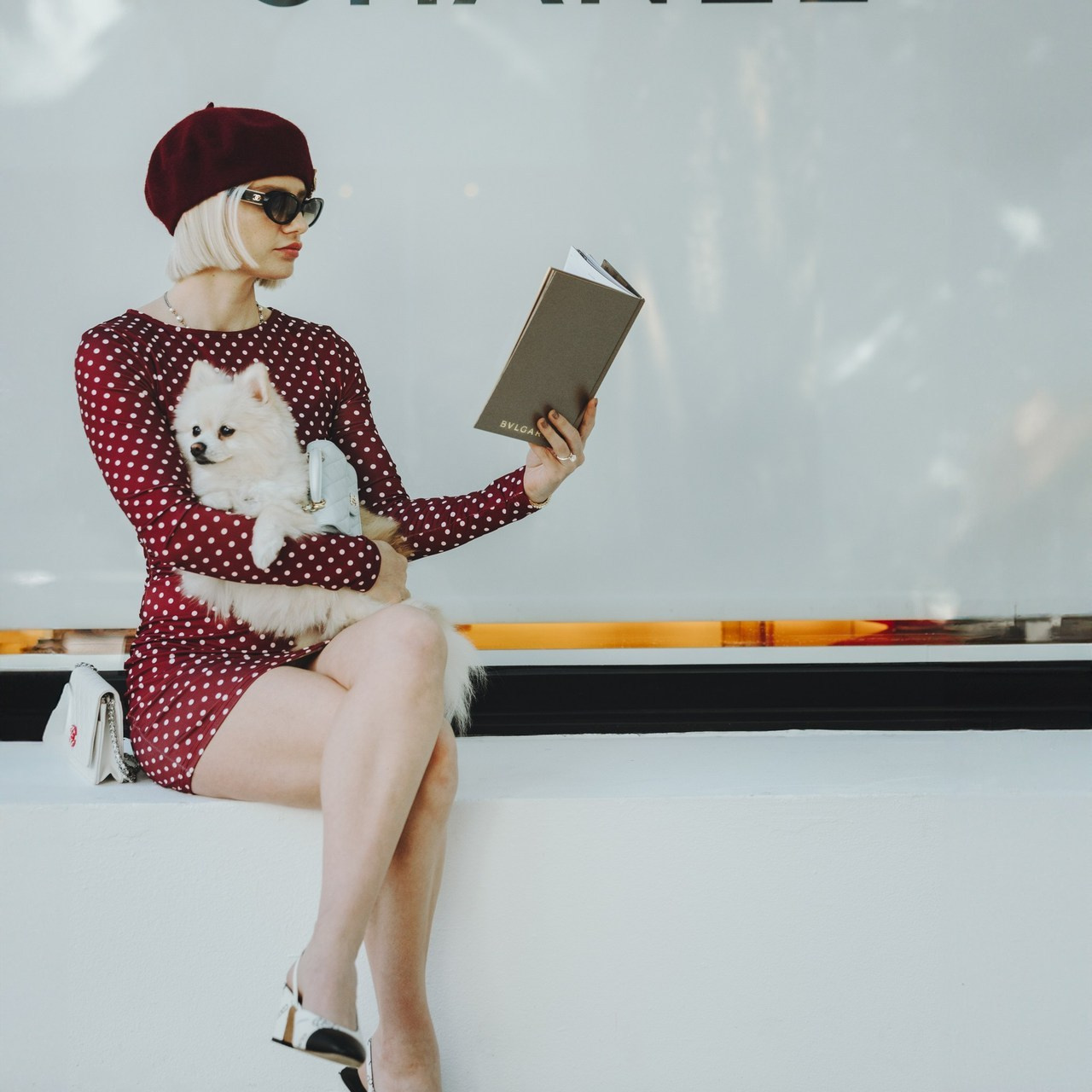 Testimonials. Pet Photographer Viktoriya Aleshenko