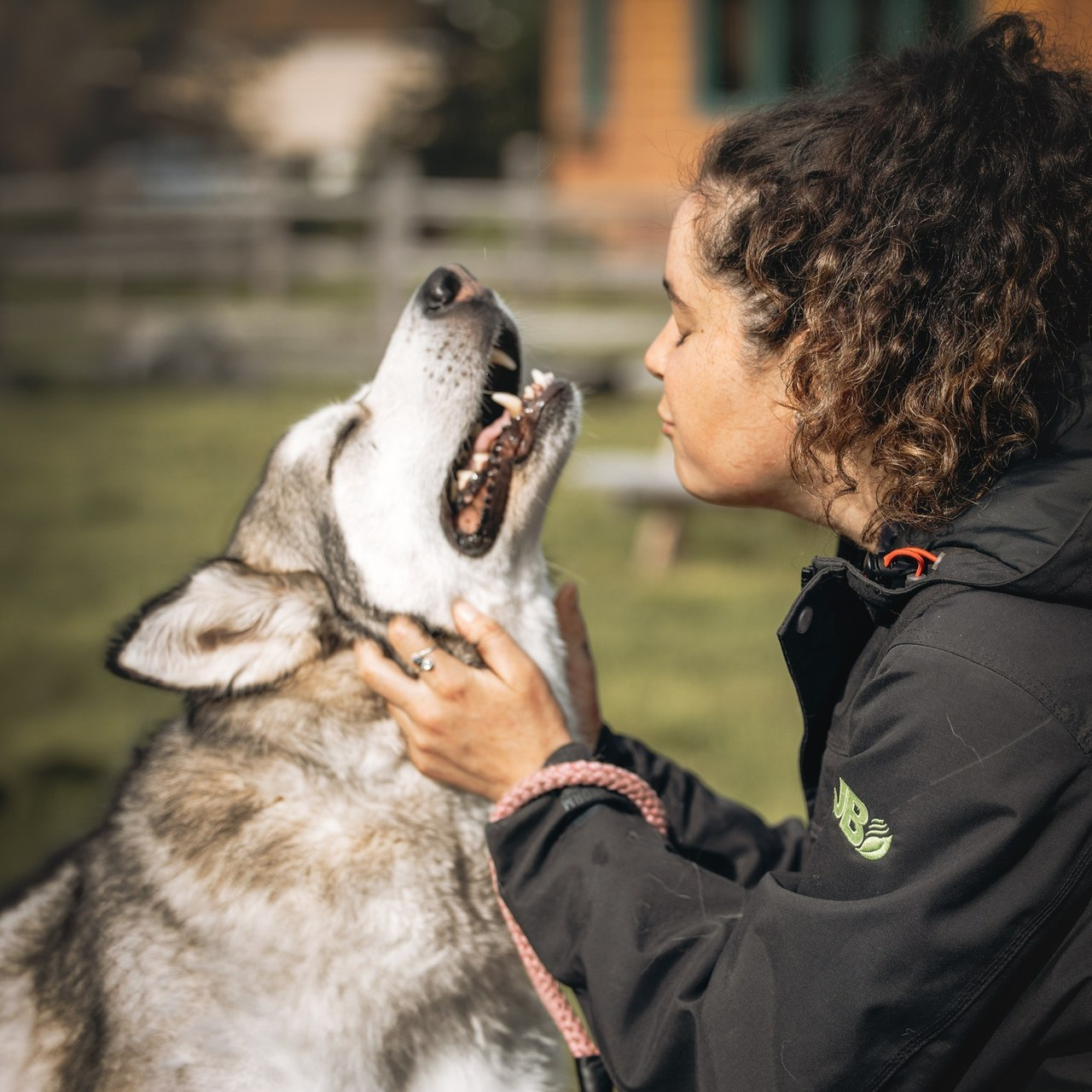 Testimonials. Pet Photographer Viktoriya Aleshenko