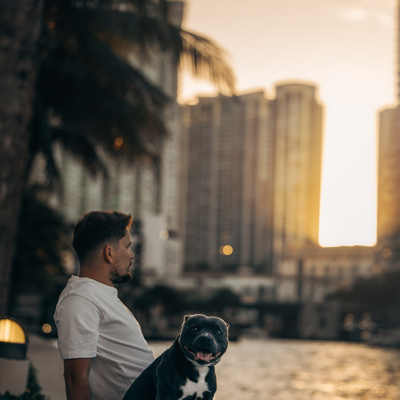 Testimonials. Pet Photographer Viktoriya Aleshenko