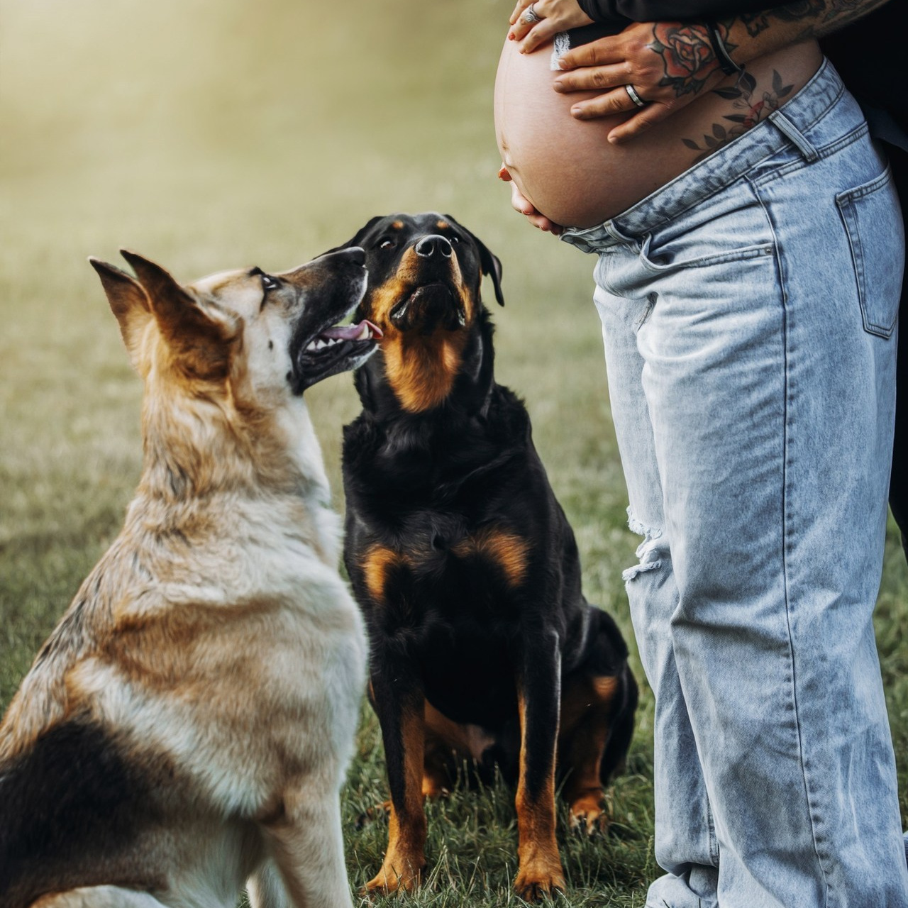 Testimonials. Pet Photographer Viktoriya Aleshenko