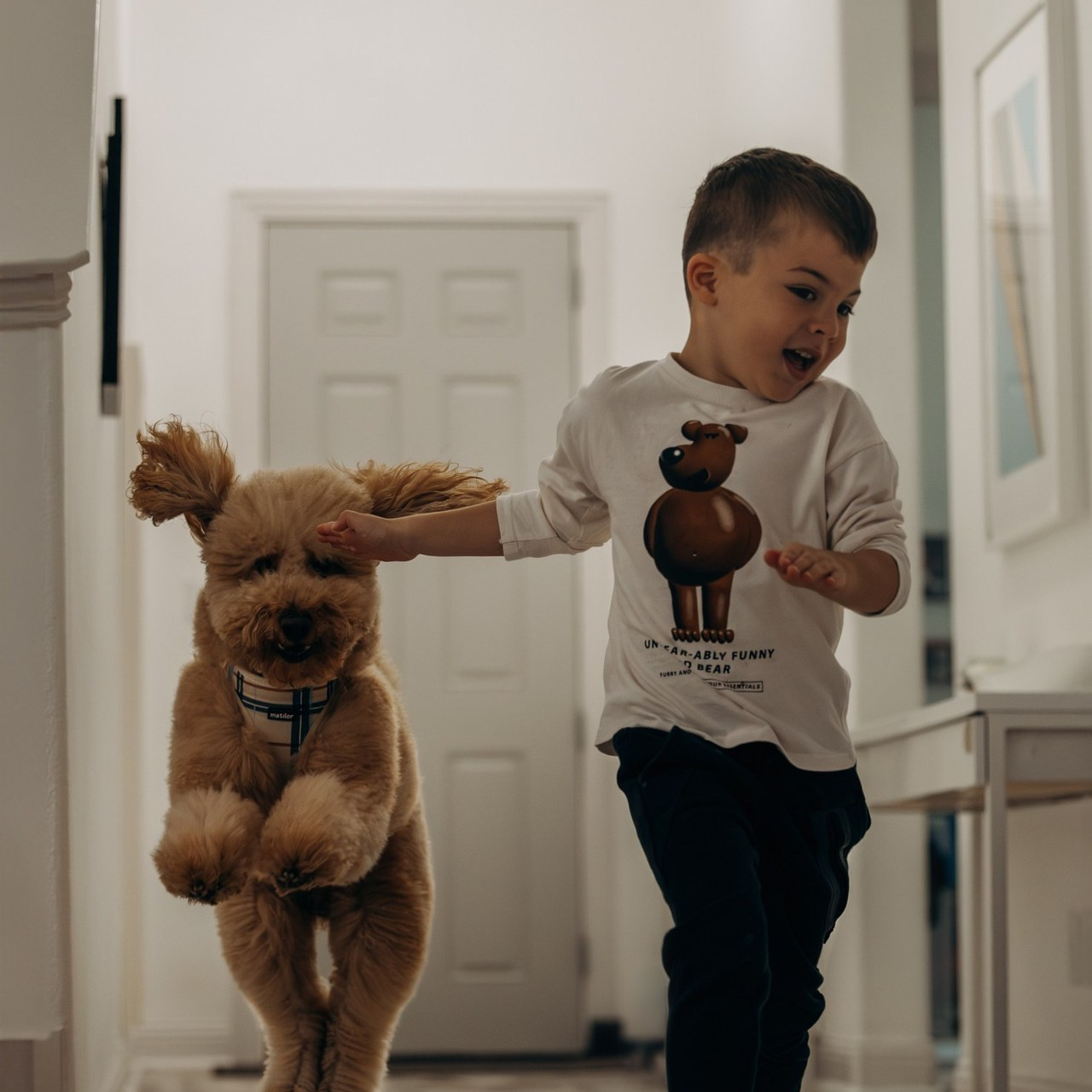 Testimonials. Pet Photographer Viktoriya Aleshenko