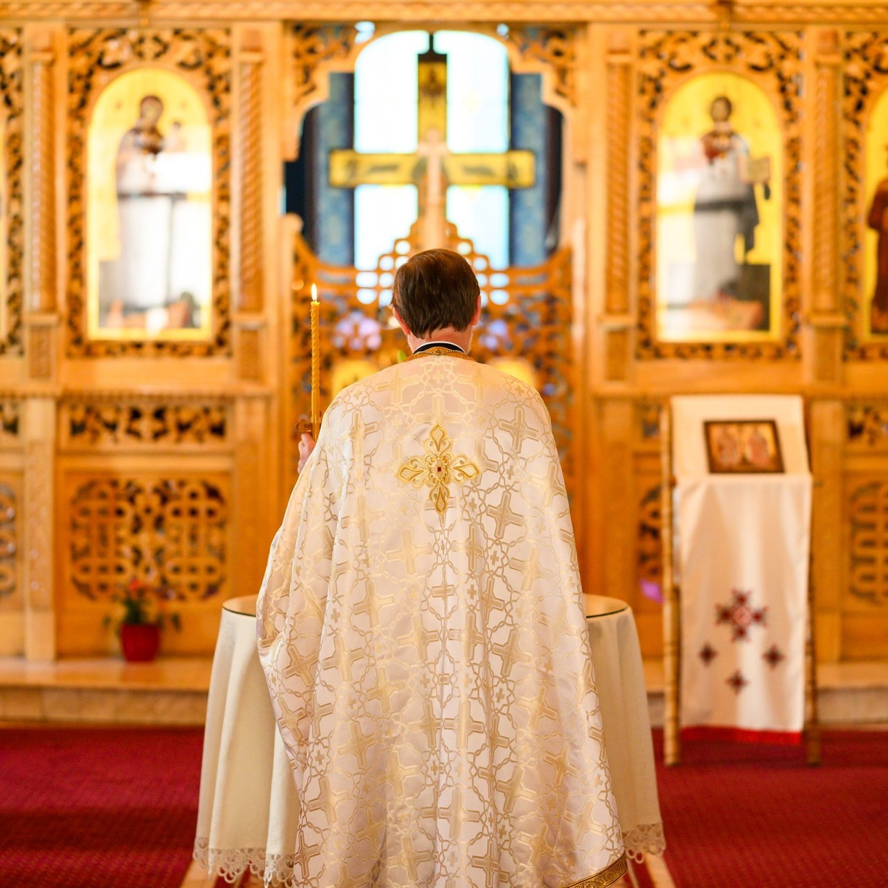 Reviews. BCarp Productions