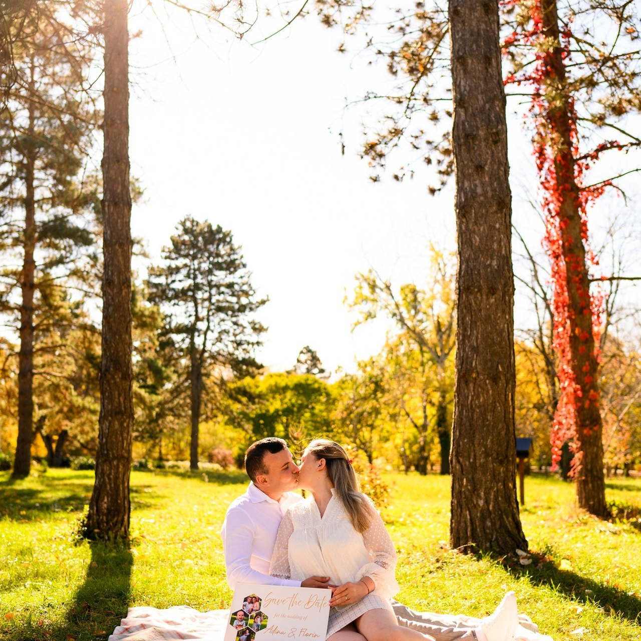 Reviews. BCarp Productions