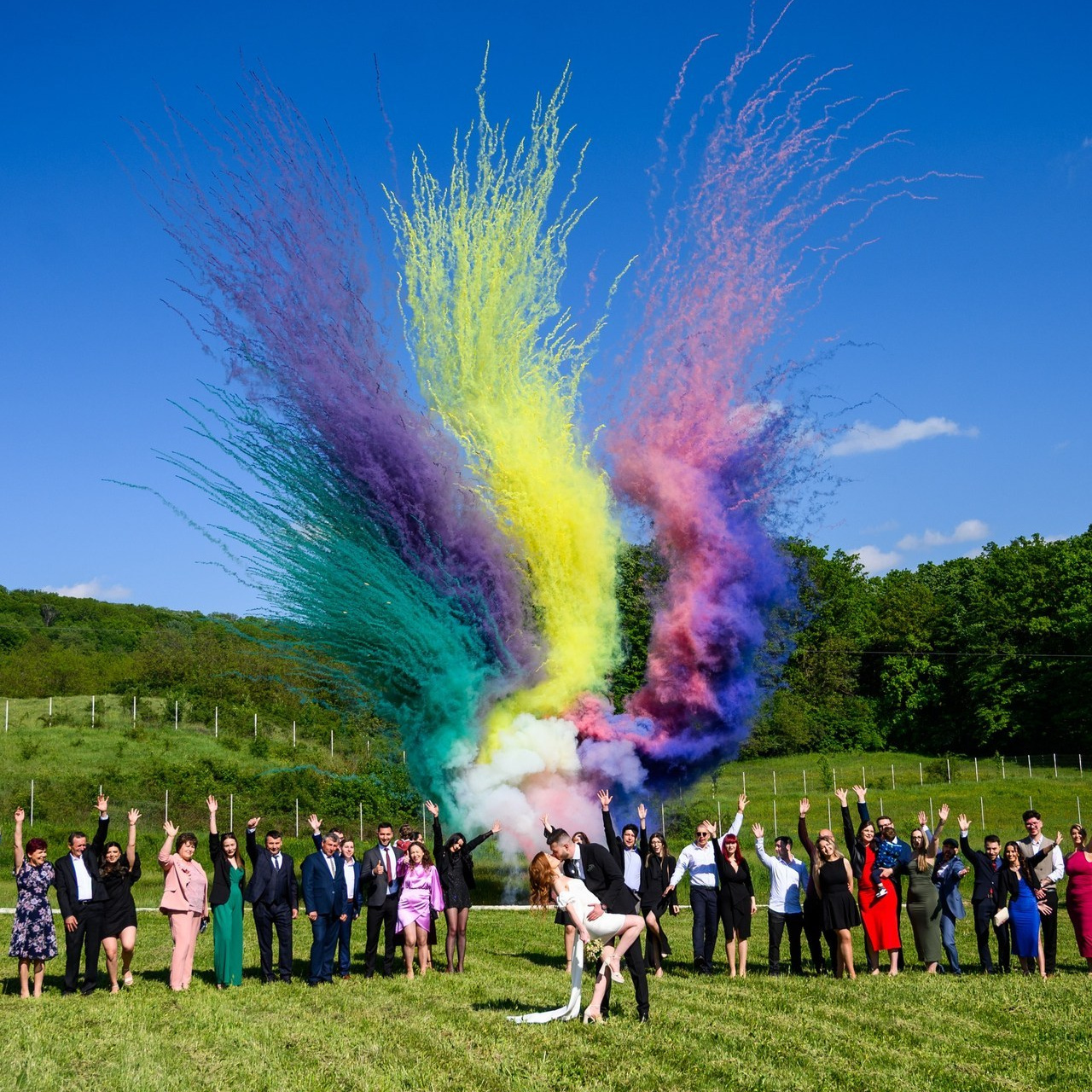 Reviews. BCarp Productions