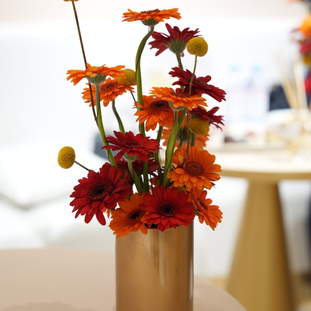 Doha Events. Photographer & Content Creator|Doha, Qatar
