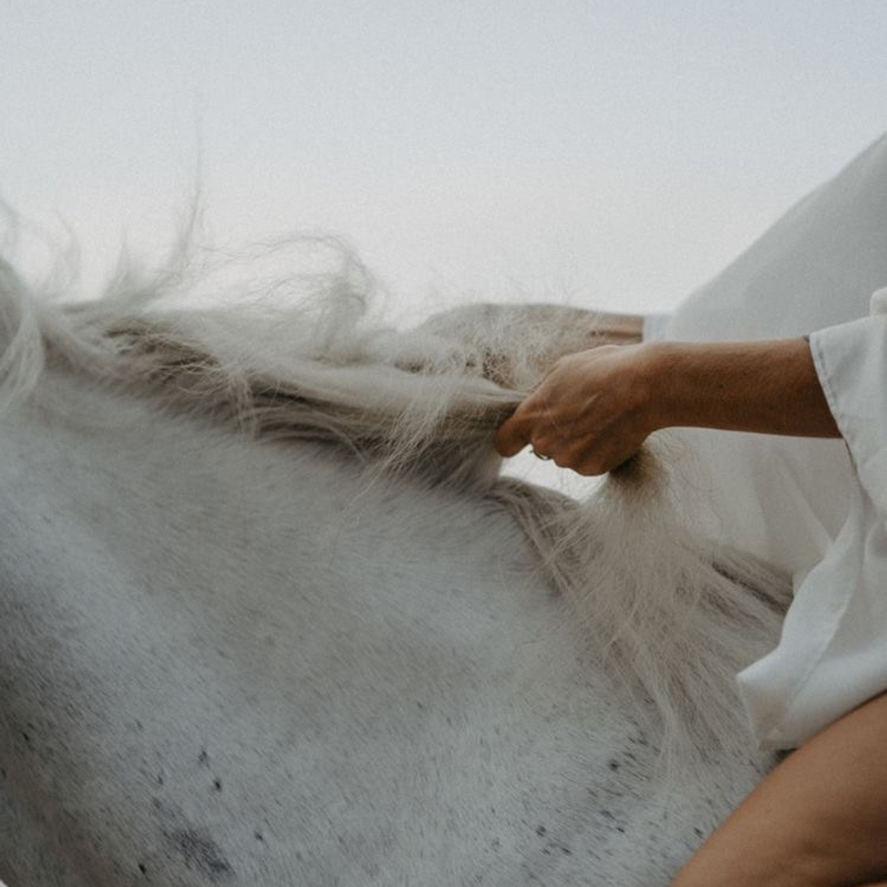 Main page. An Vi Photography