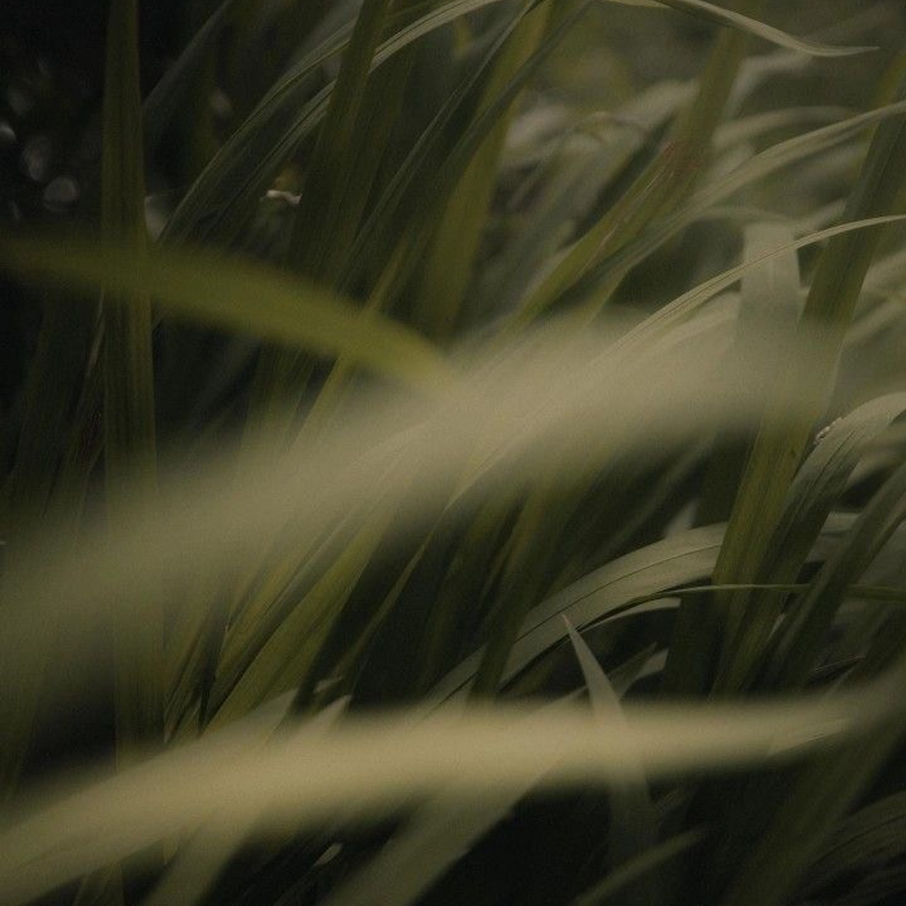 Main page. An Vi Photography