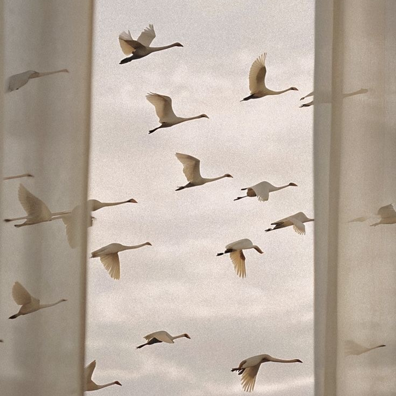 Main page. An Vi Photography