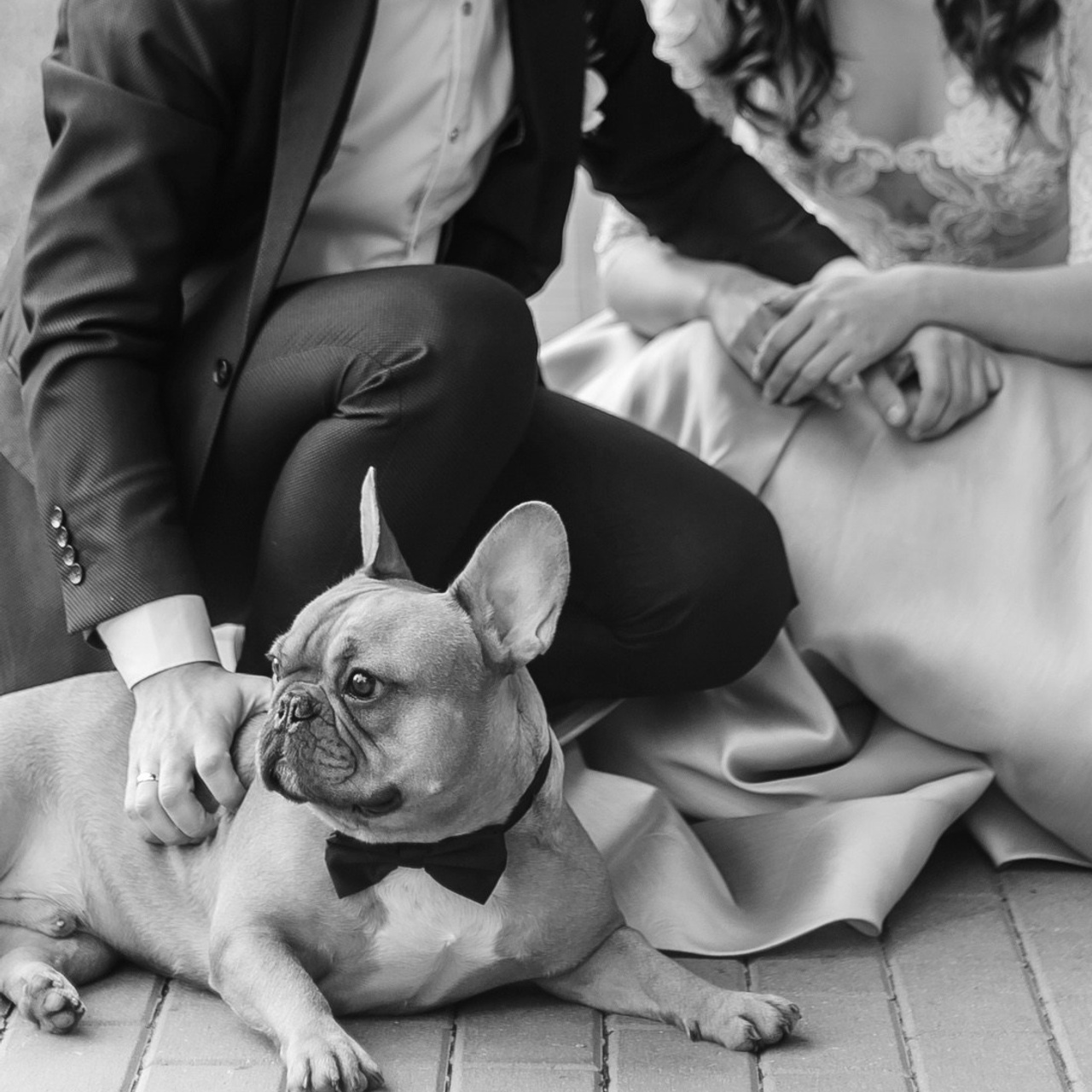 Main page. An Vi Photography