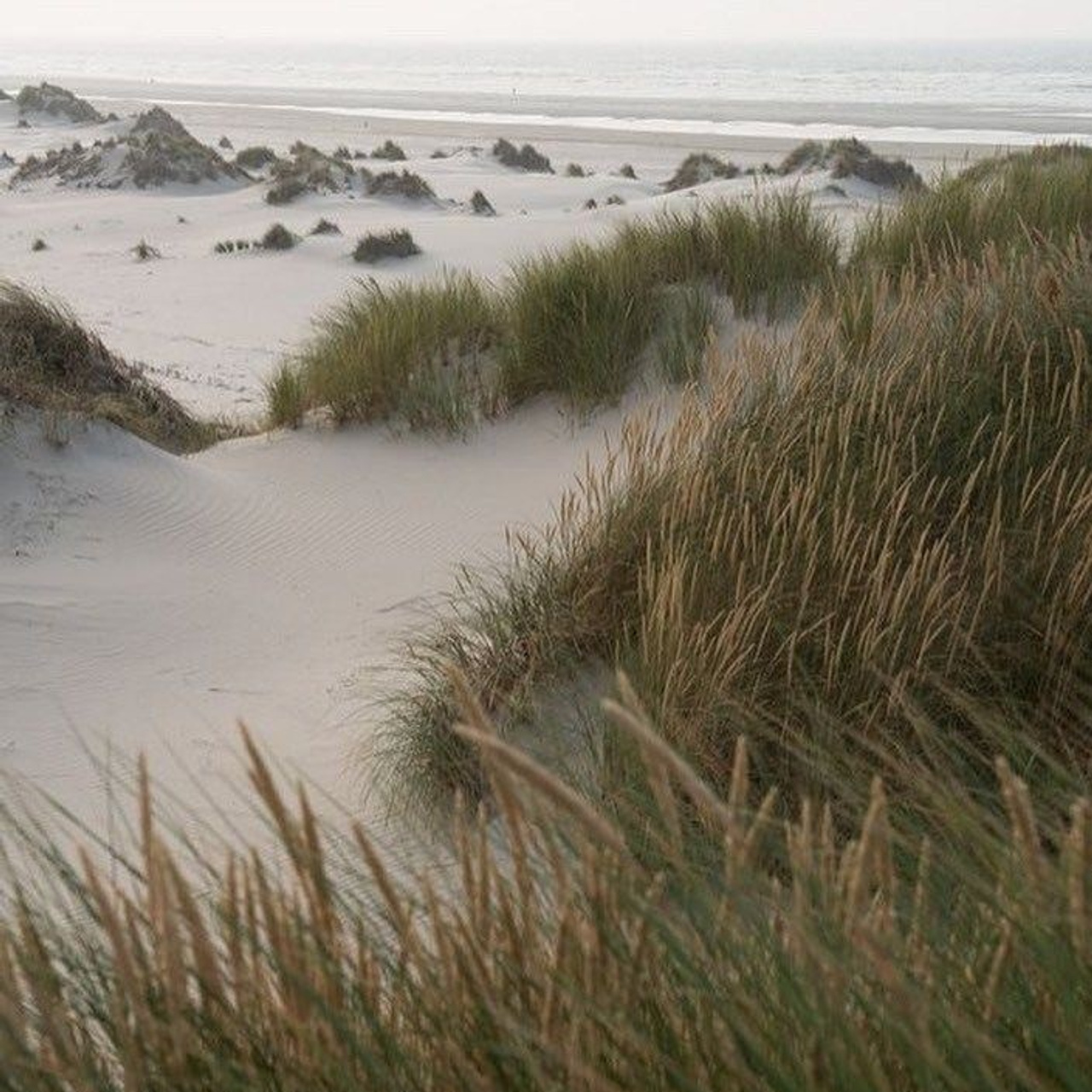 Main page. An Vi Photography