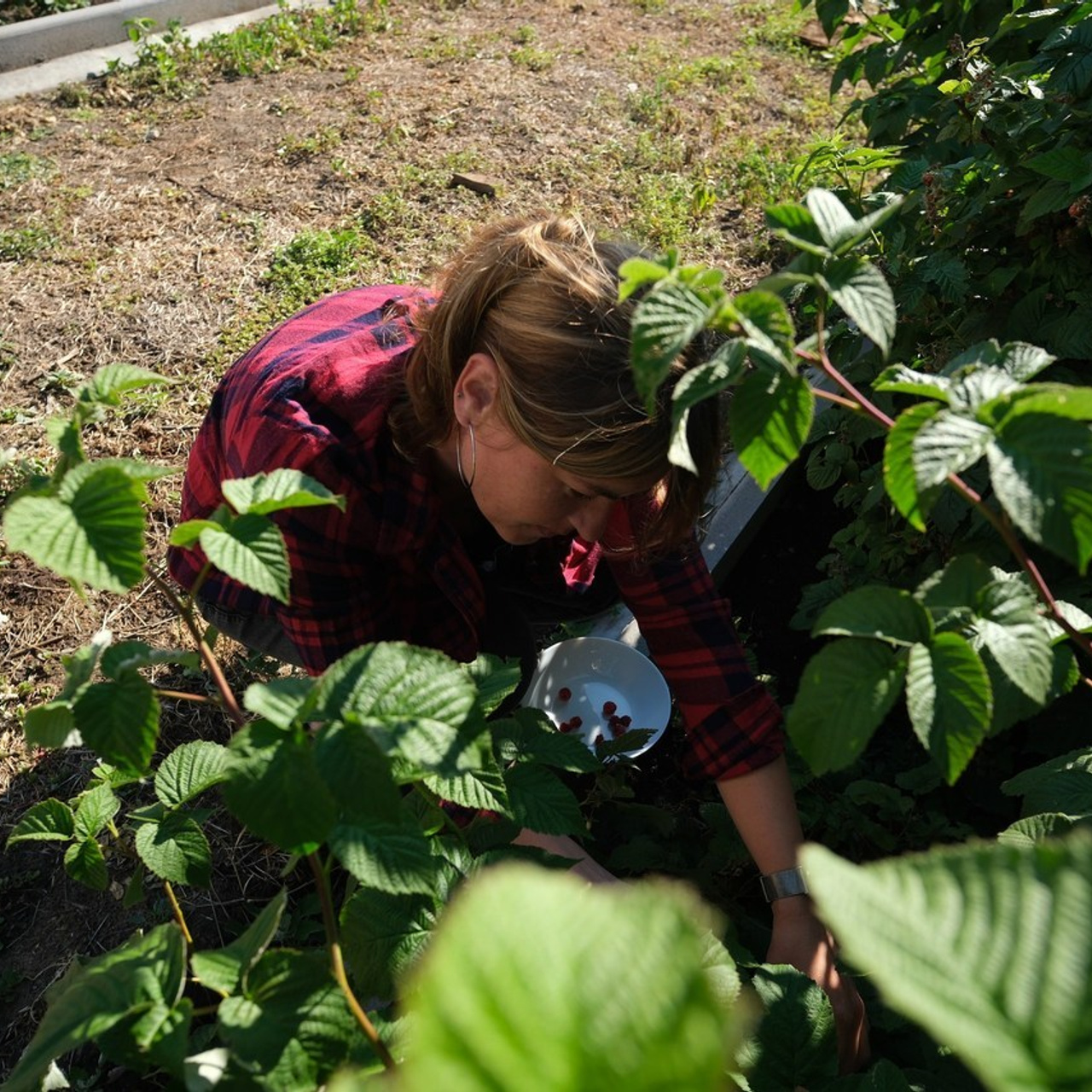 Відгуки. Ваш відеограф для будь яких подій