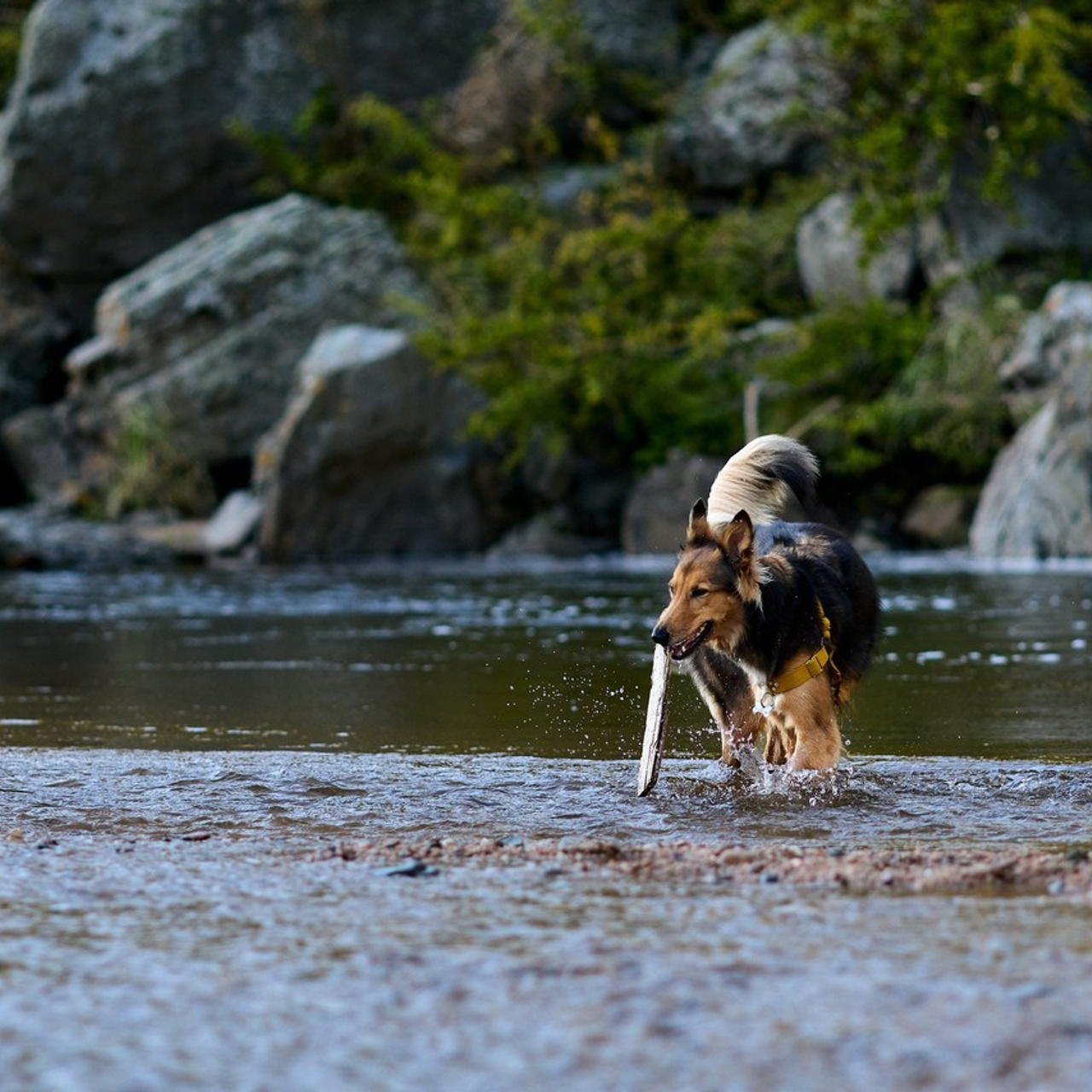 Reviews. Marcos Ferrari Fotógrafo