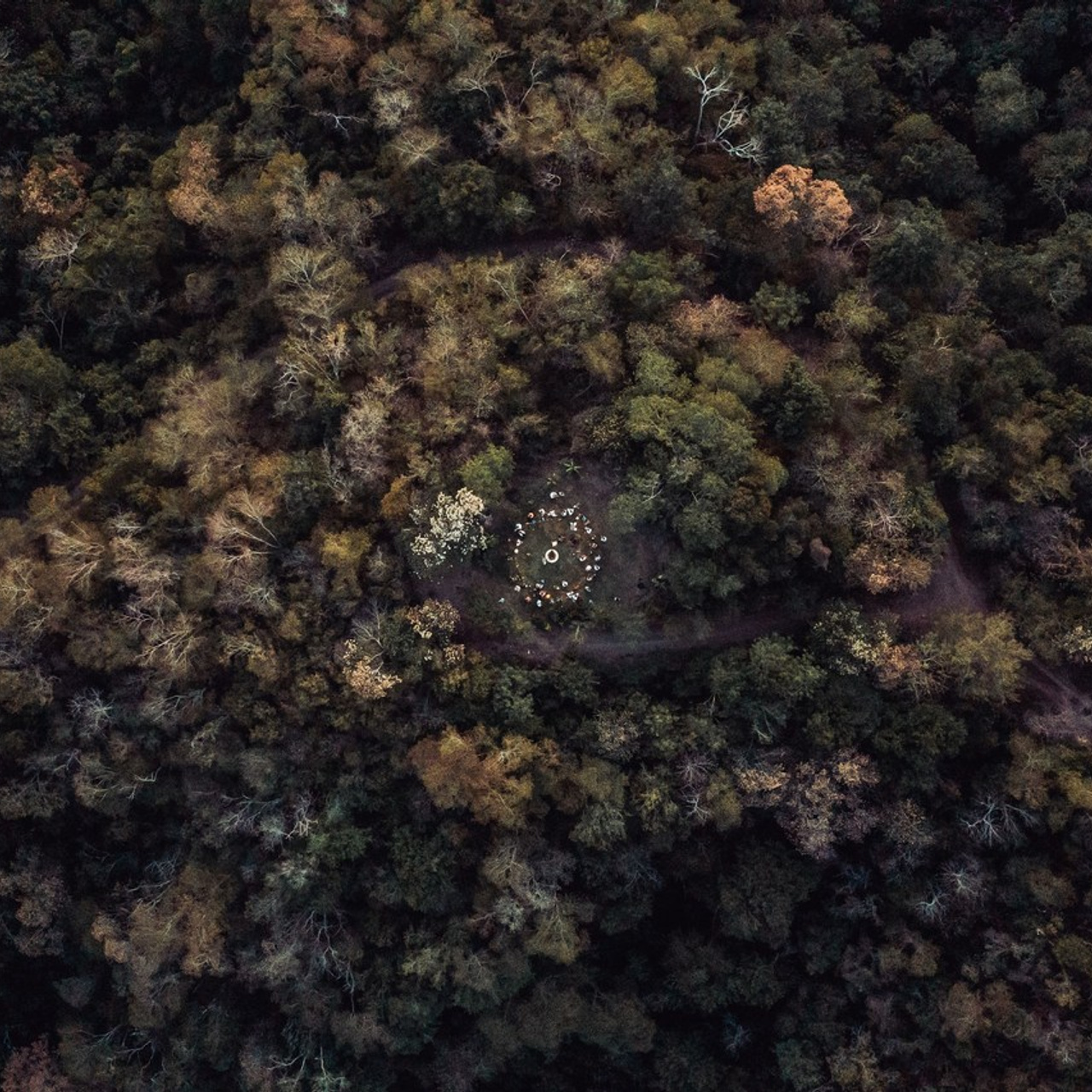 Testimonials. Nirmal Ramo Photographer