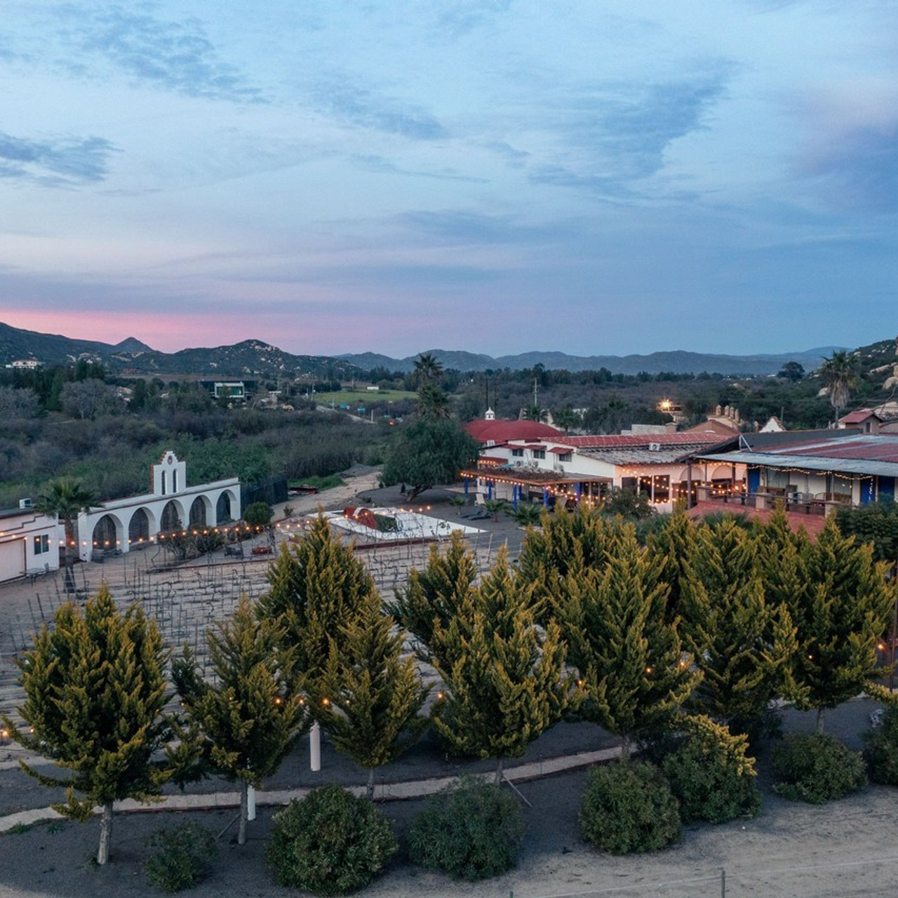 Testimonials. Nirmal Ramo Photographer