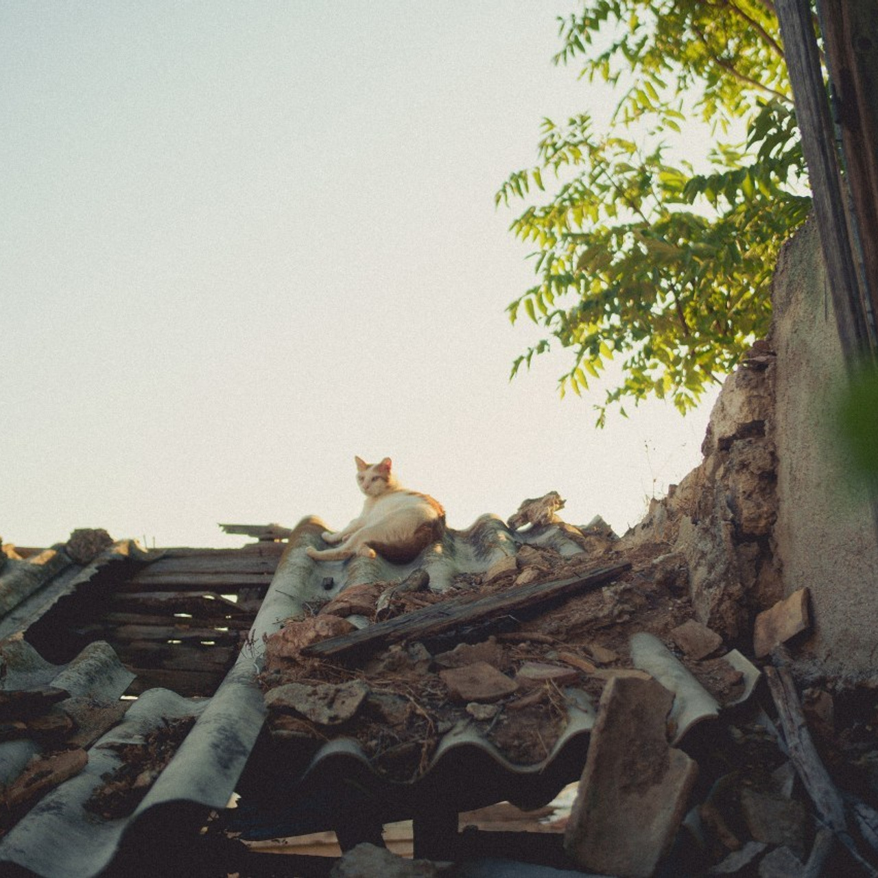 Feedback. Photographer in Greece Kristina